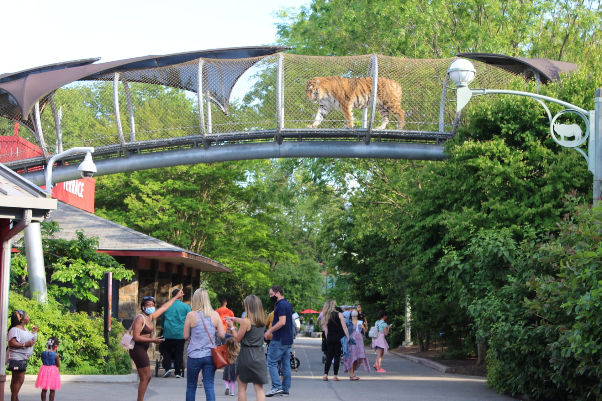 Bus Stop: Philadelphia Zoo