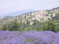RELAIS DU MONT VENTOUX