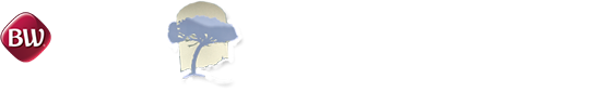 HÔTEL SAN DAMIANU