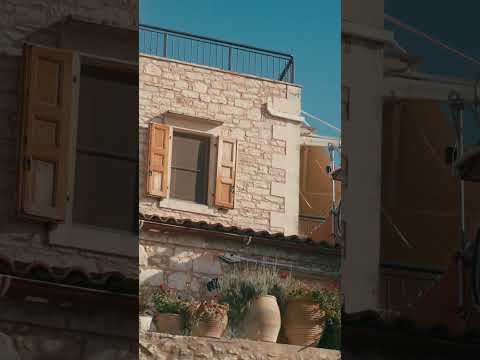 Μαργαρίτες