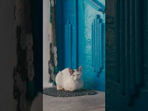 Έξω Ποτάμοι