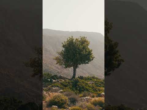Πεζοπορία στο Λουτρό