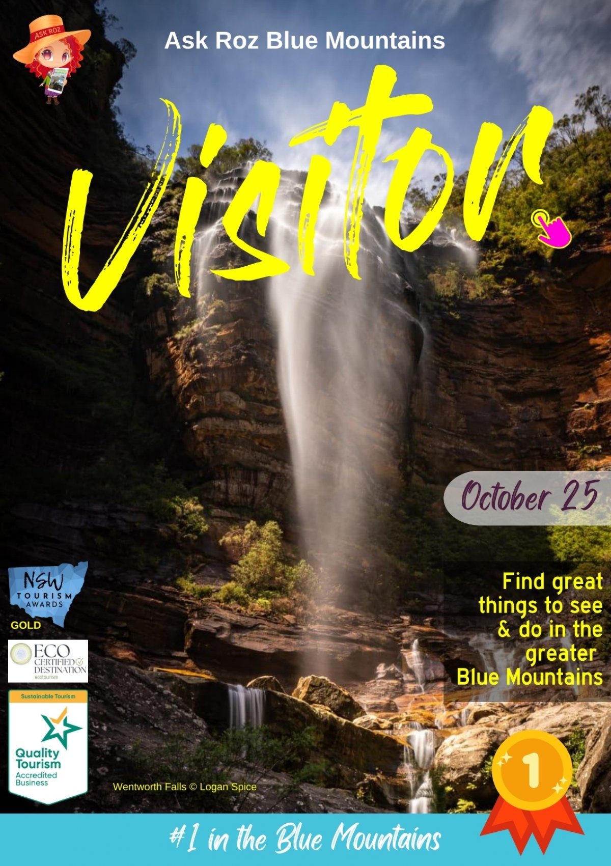 VISITOR eMag