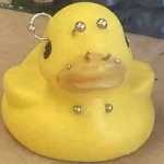 patito cuak cuak 