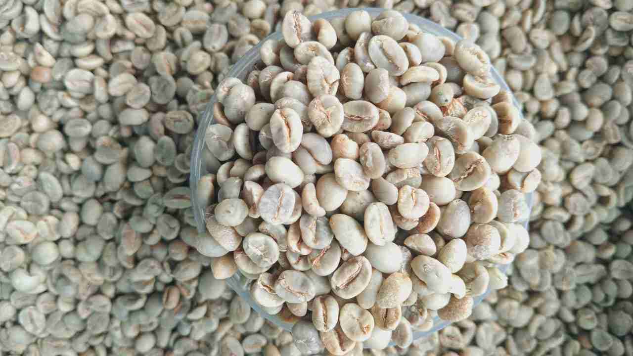 arabica%20natural%20grade%201