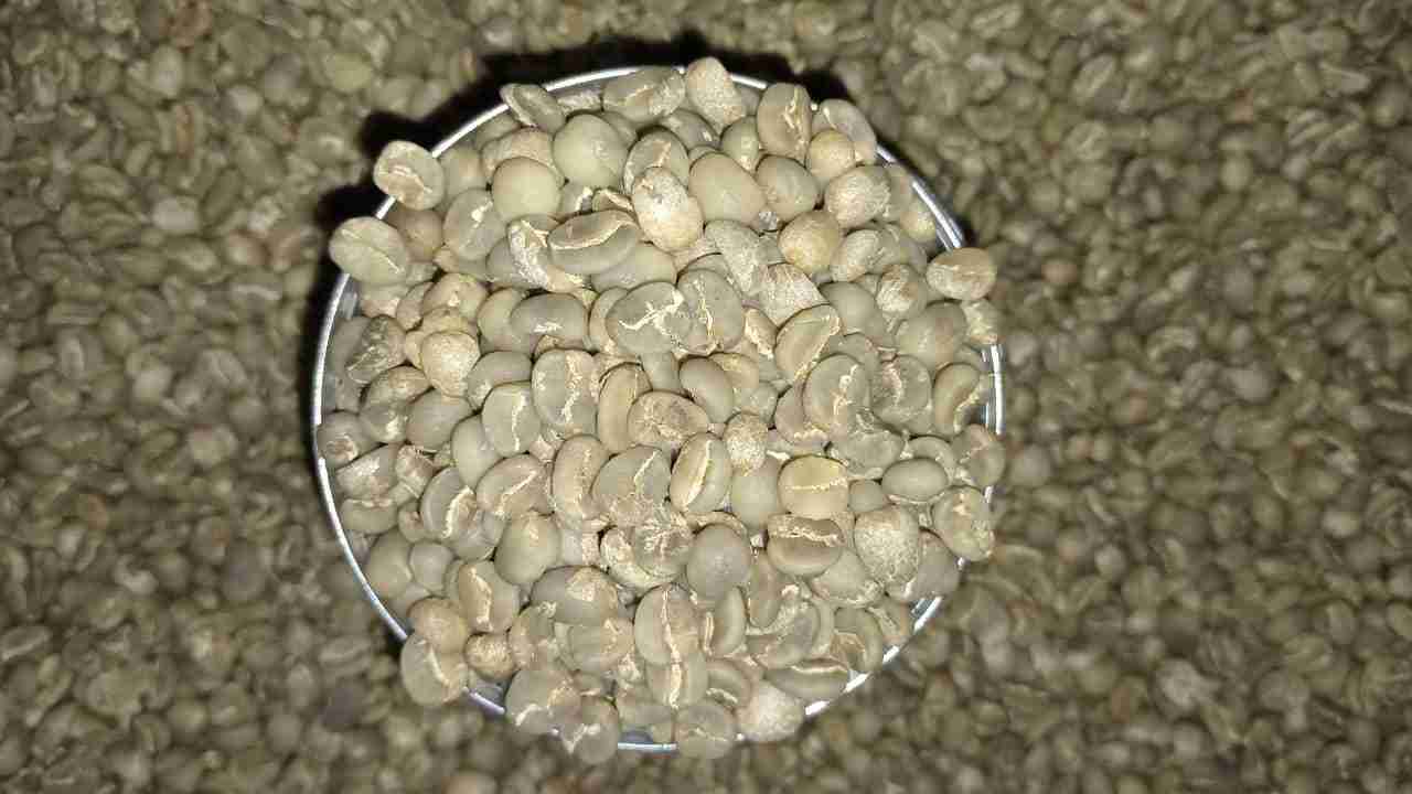 arabica%20semi%20wash%20grade%201