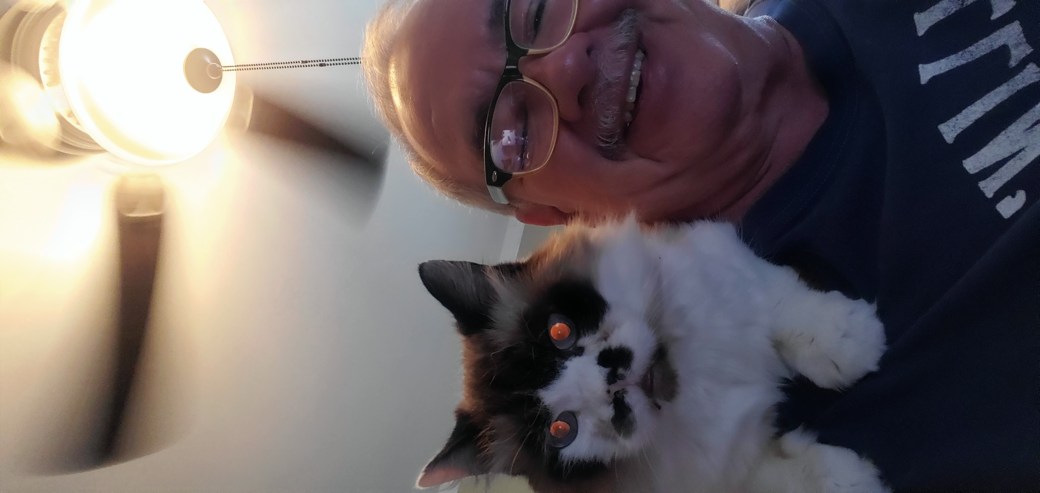 Happy Tails books and more