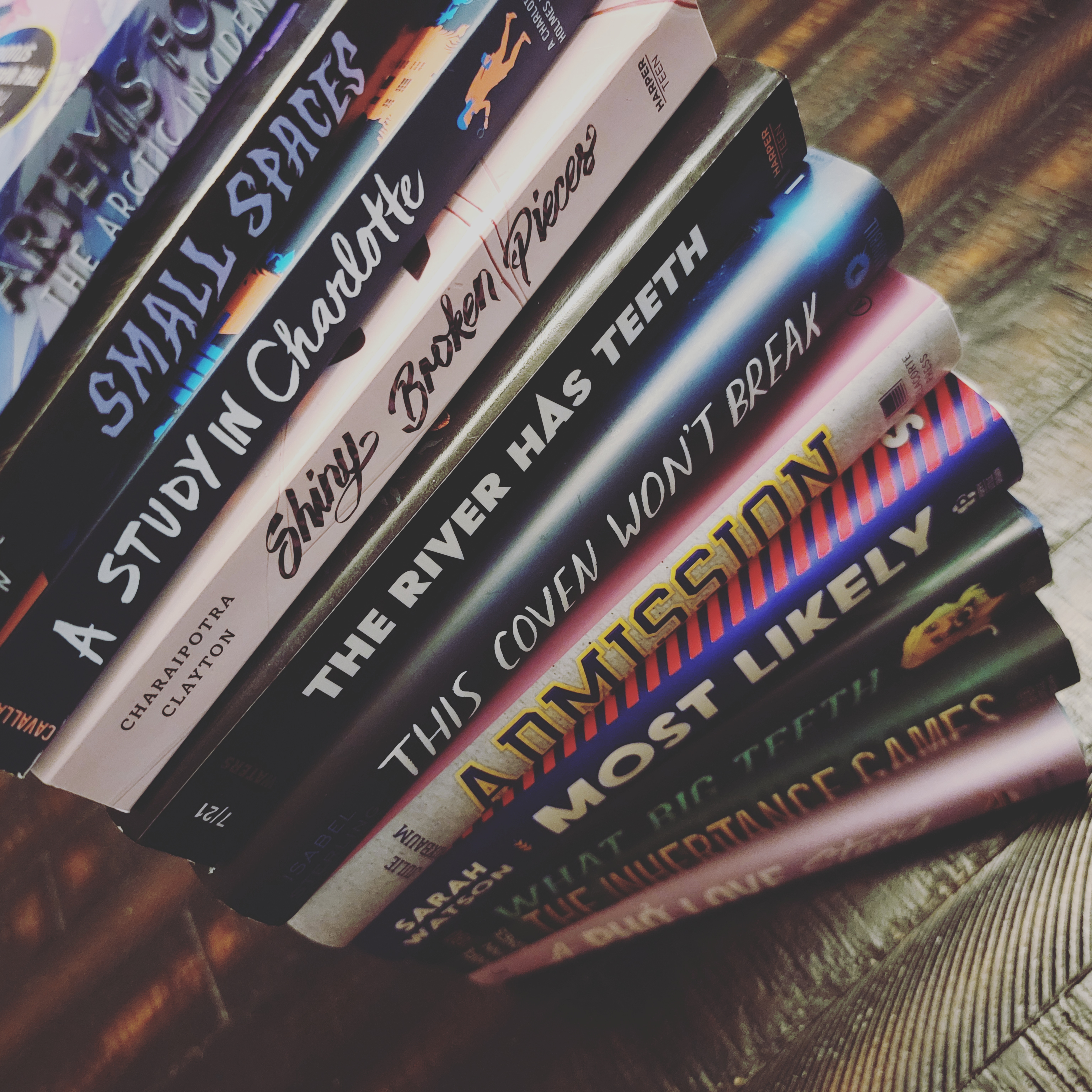 Shay's Wonderland