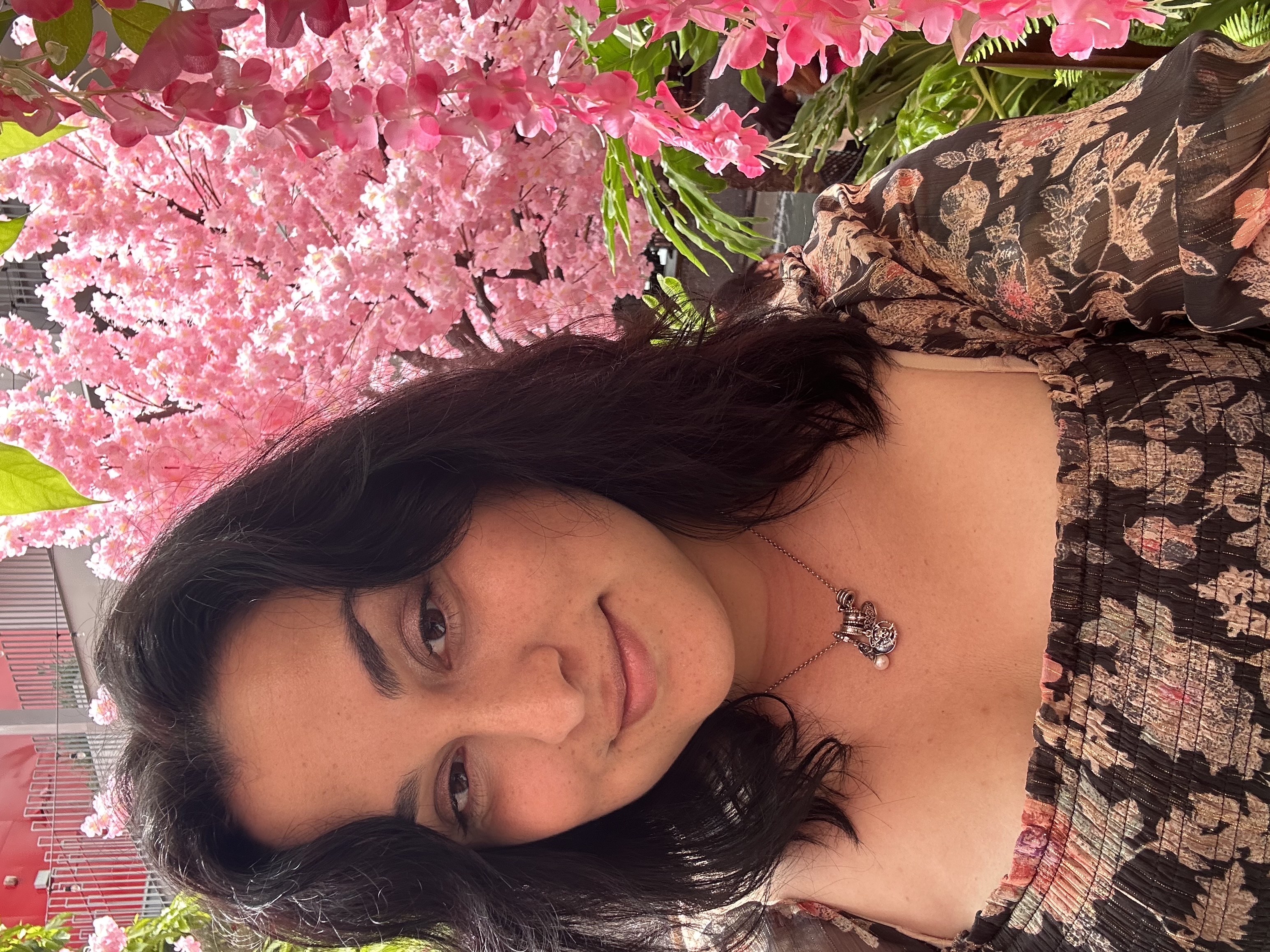 Stephanie Regal Books