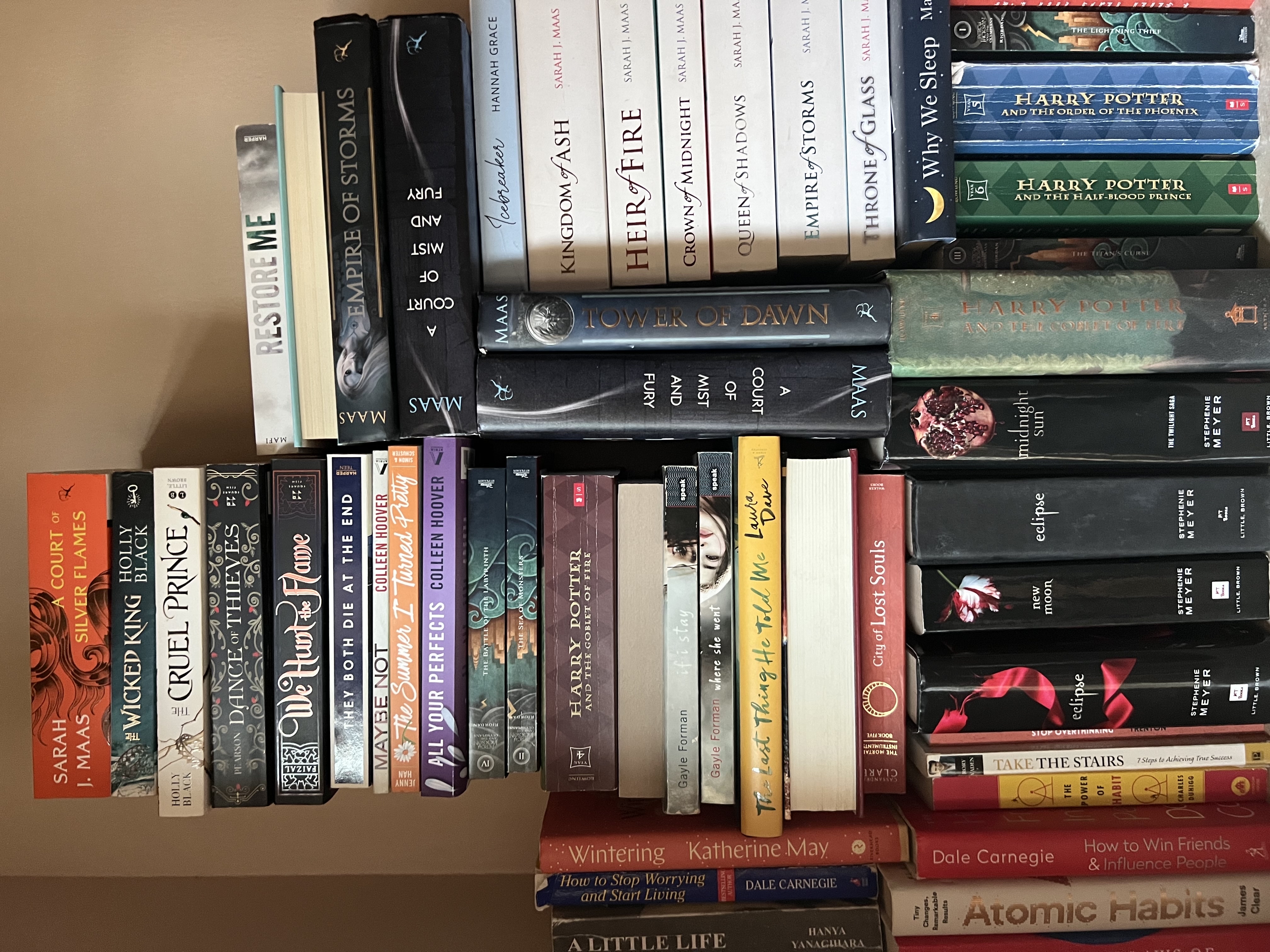 willow’slibrary