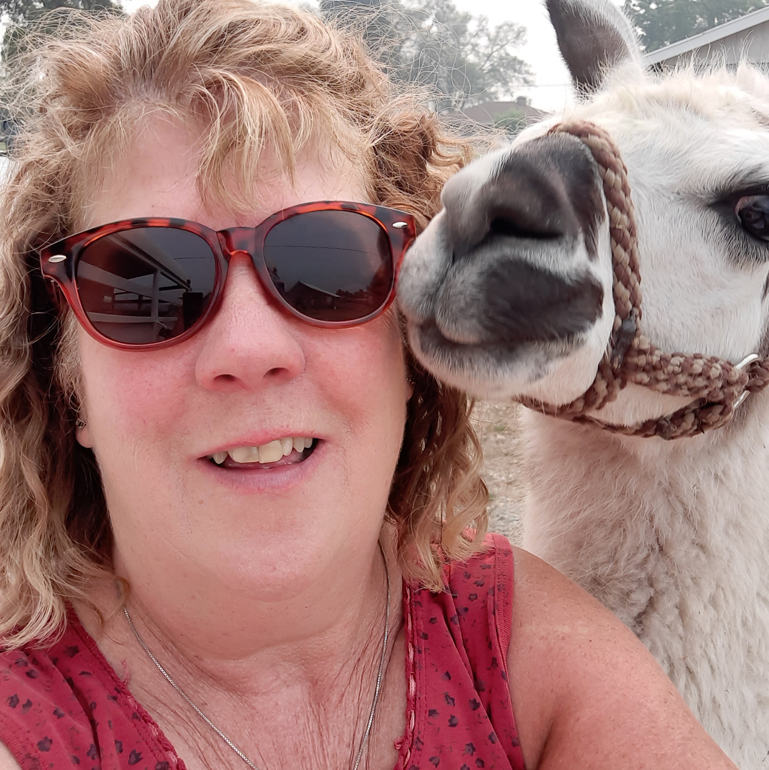 Debbie Hardwick
