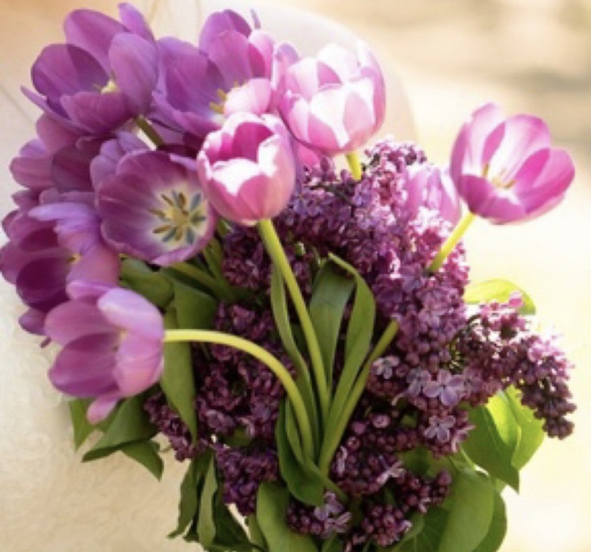 Lilac_Thrifts