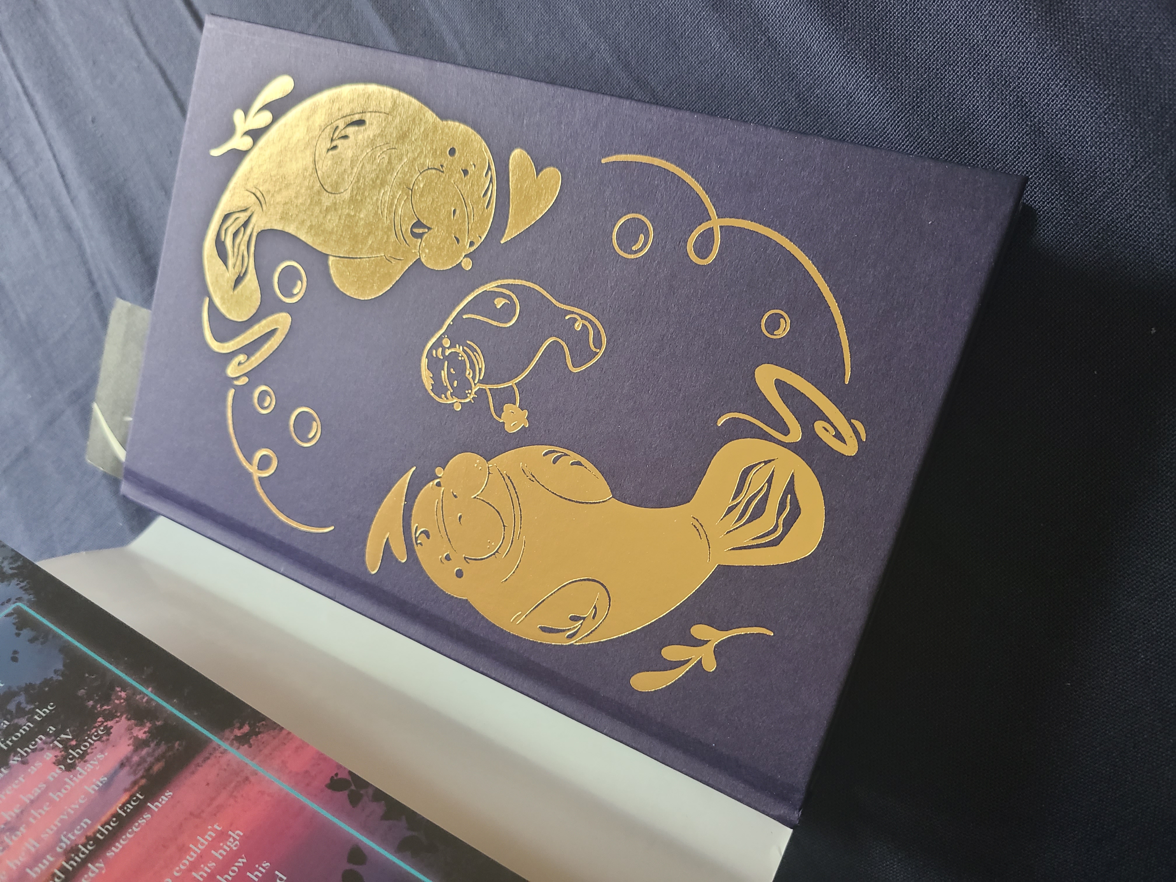 Maria's Books