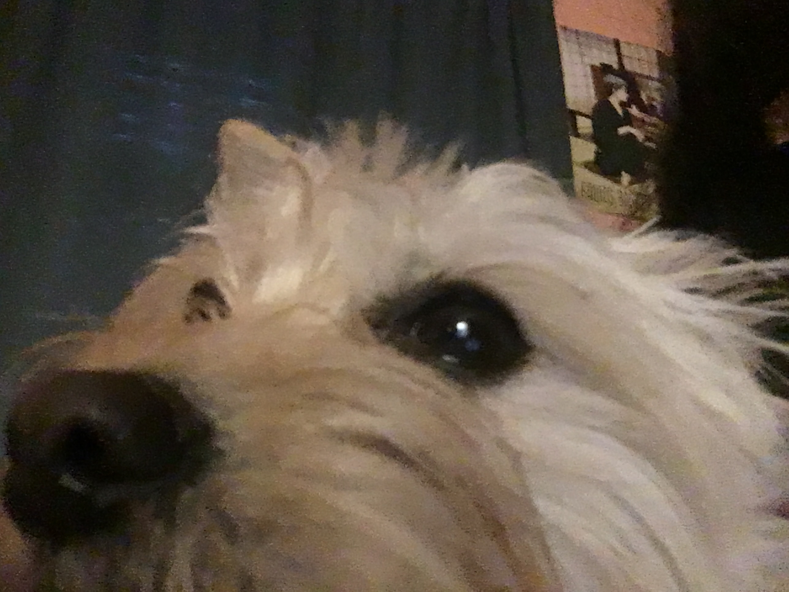Brenda E