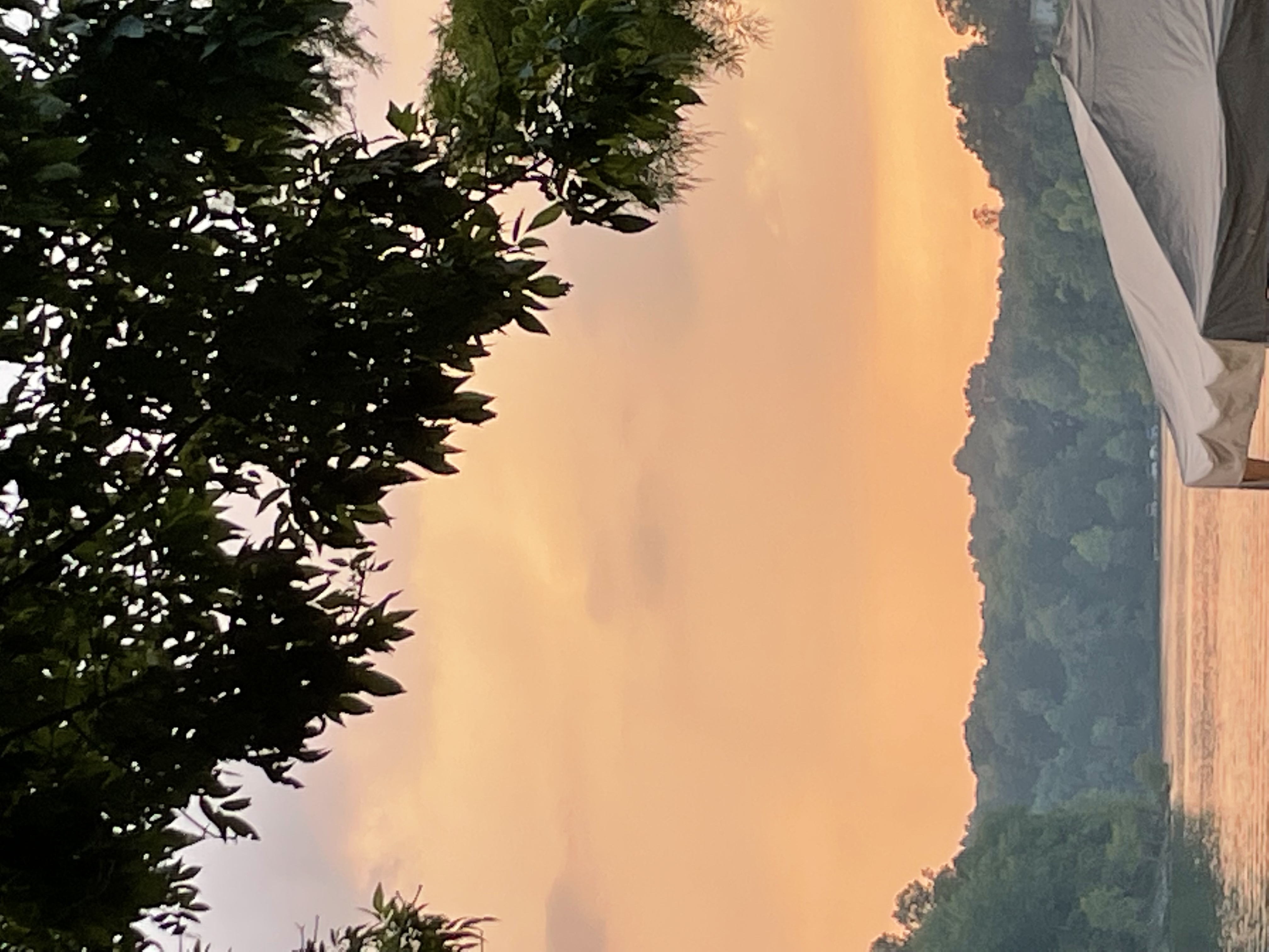 sayshan