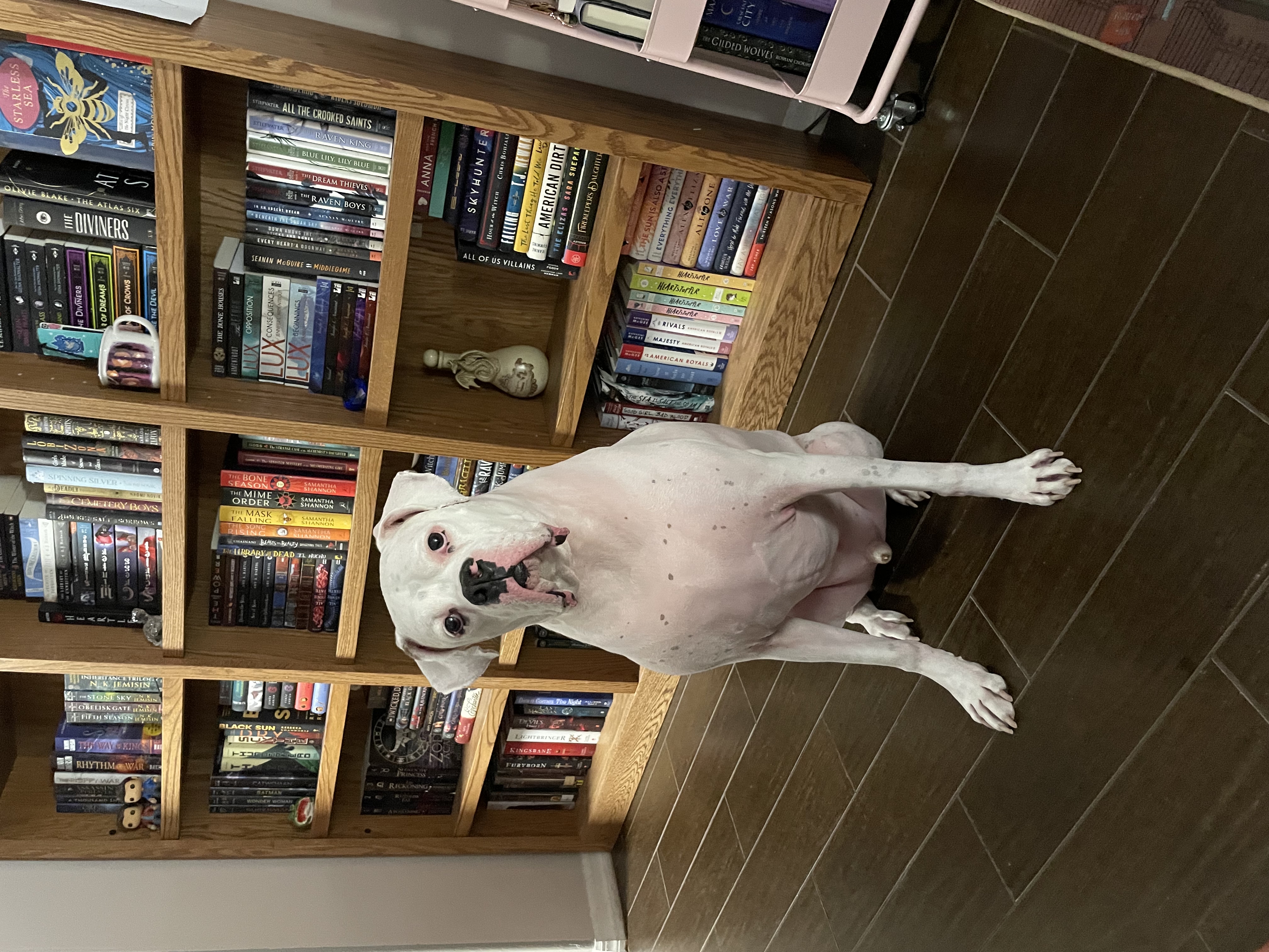 My Little Library Bookshop