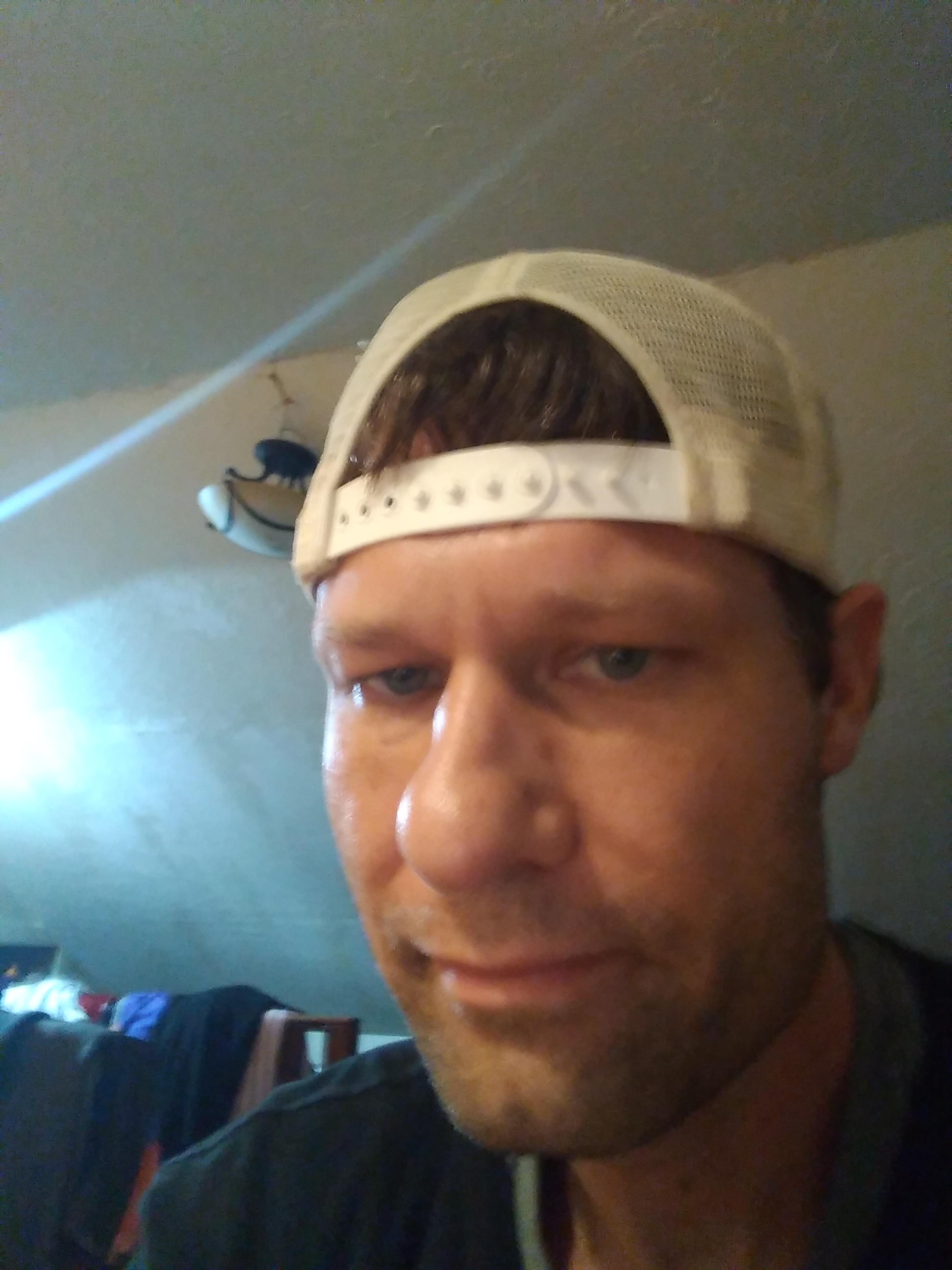 Gregory T