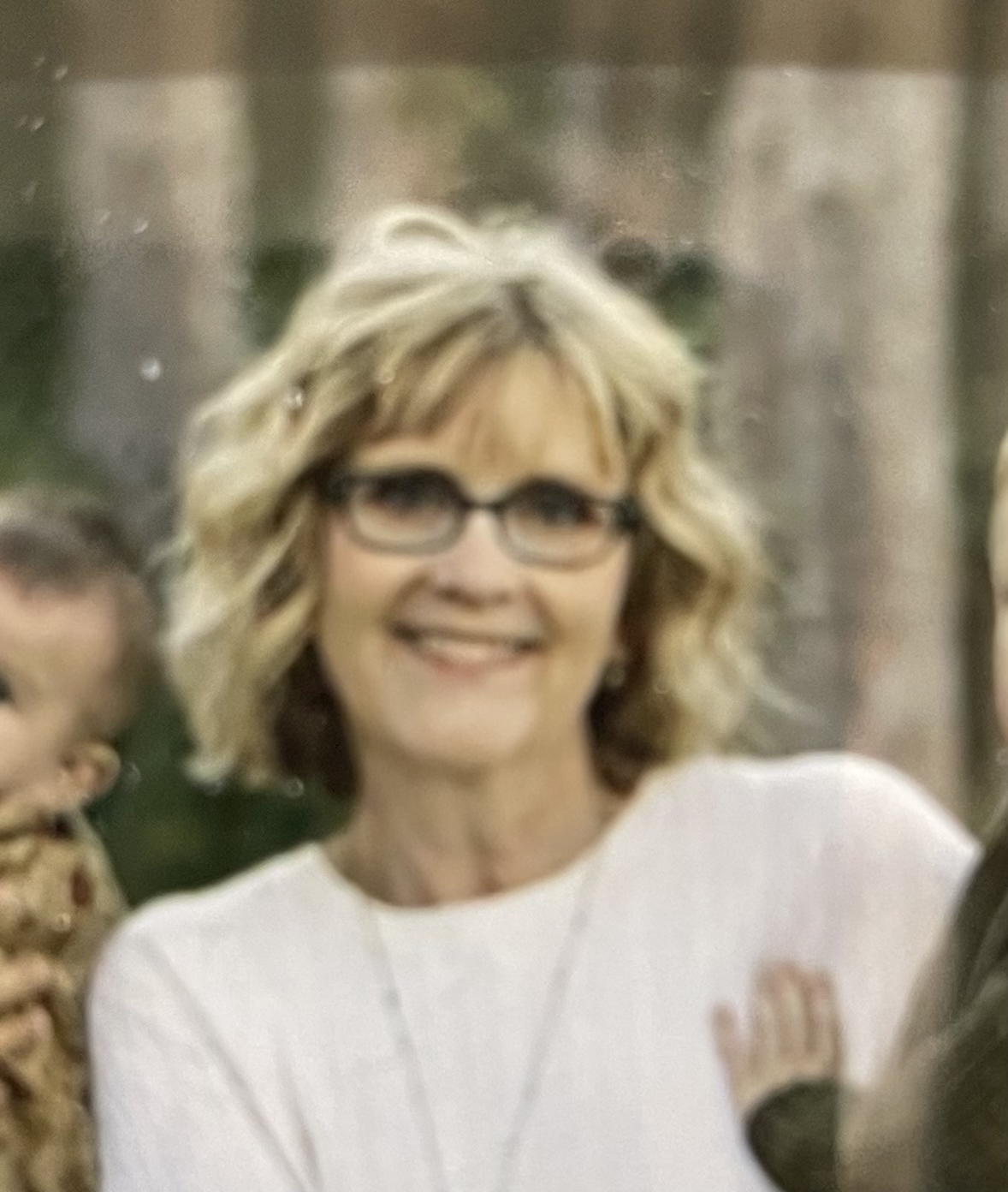 Lisa Havlin Haley