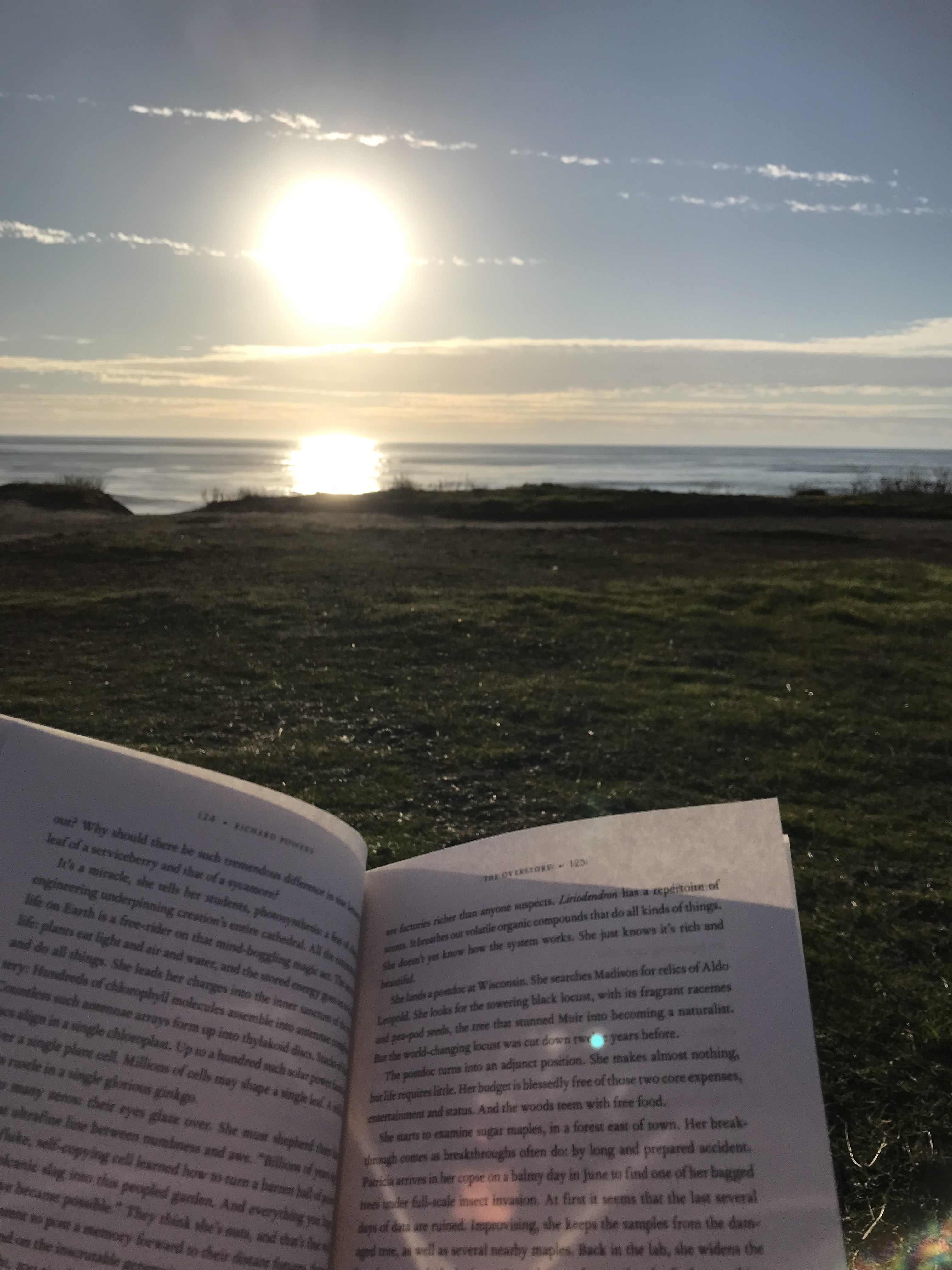 booksolace