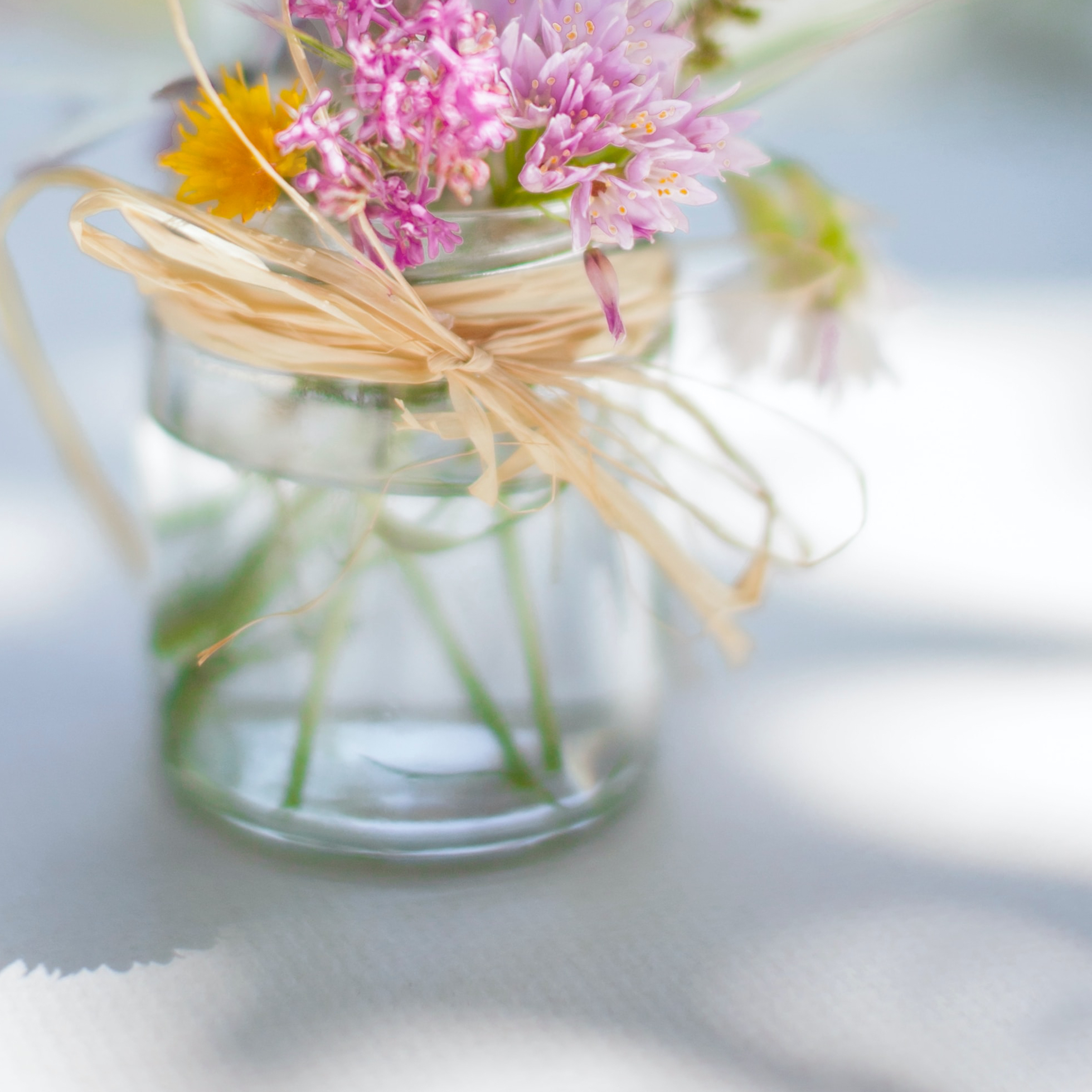 Southern Daisy Girl