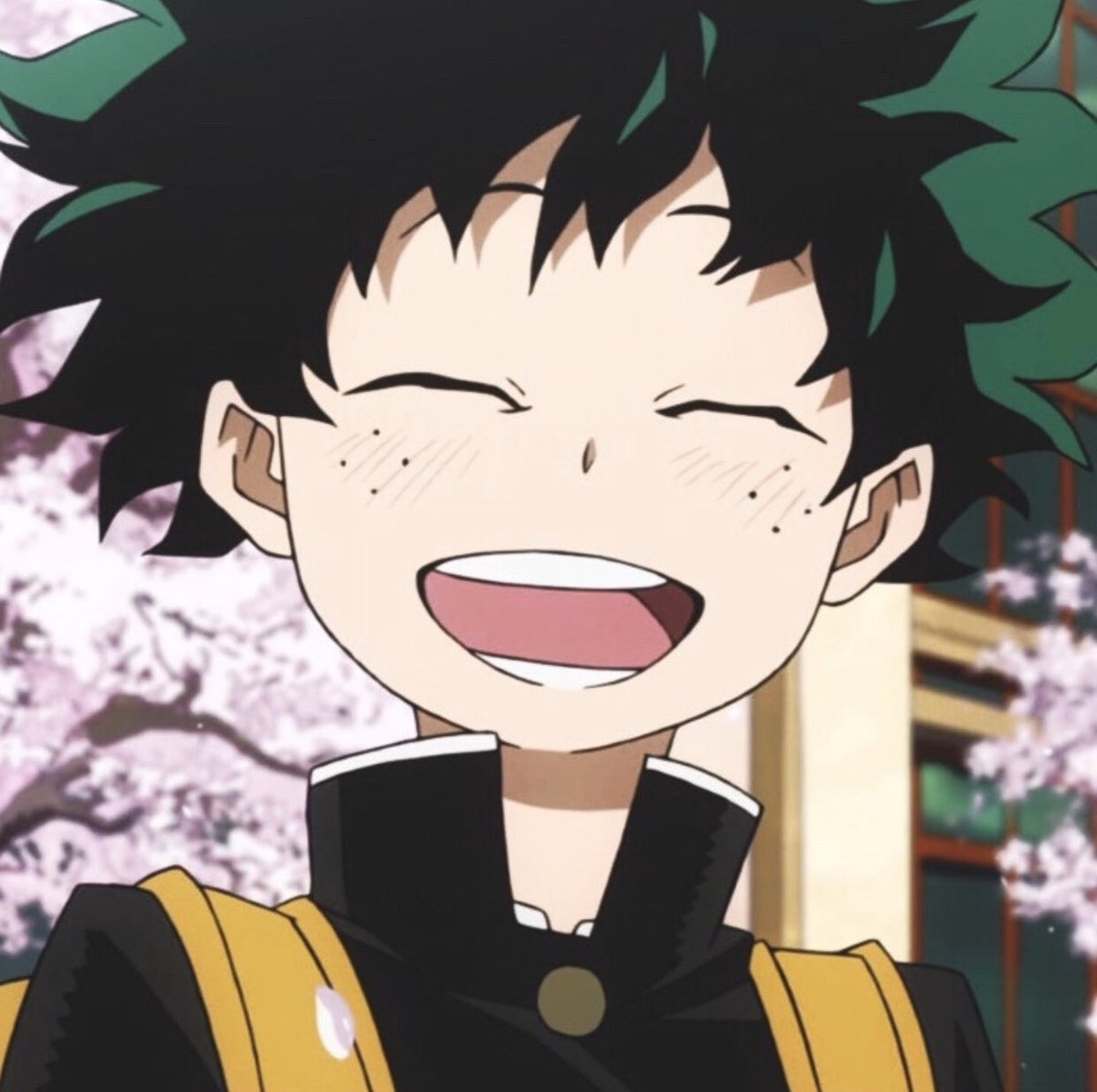 midoriyakyun