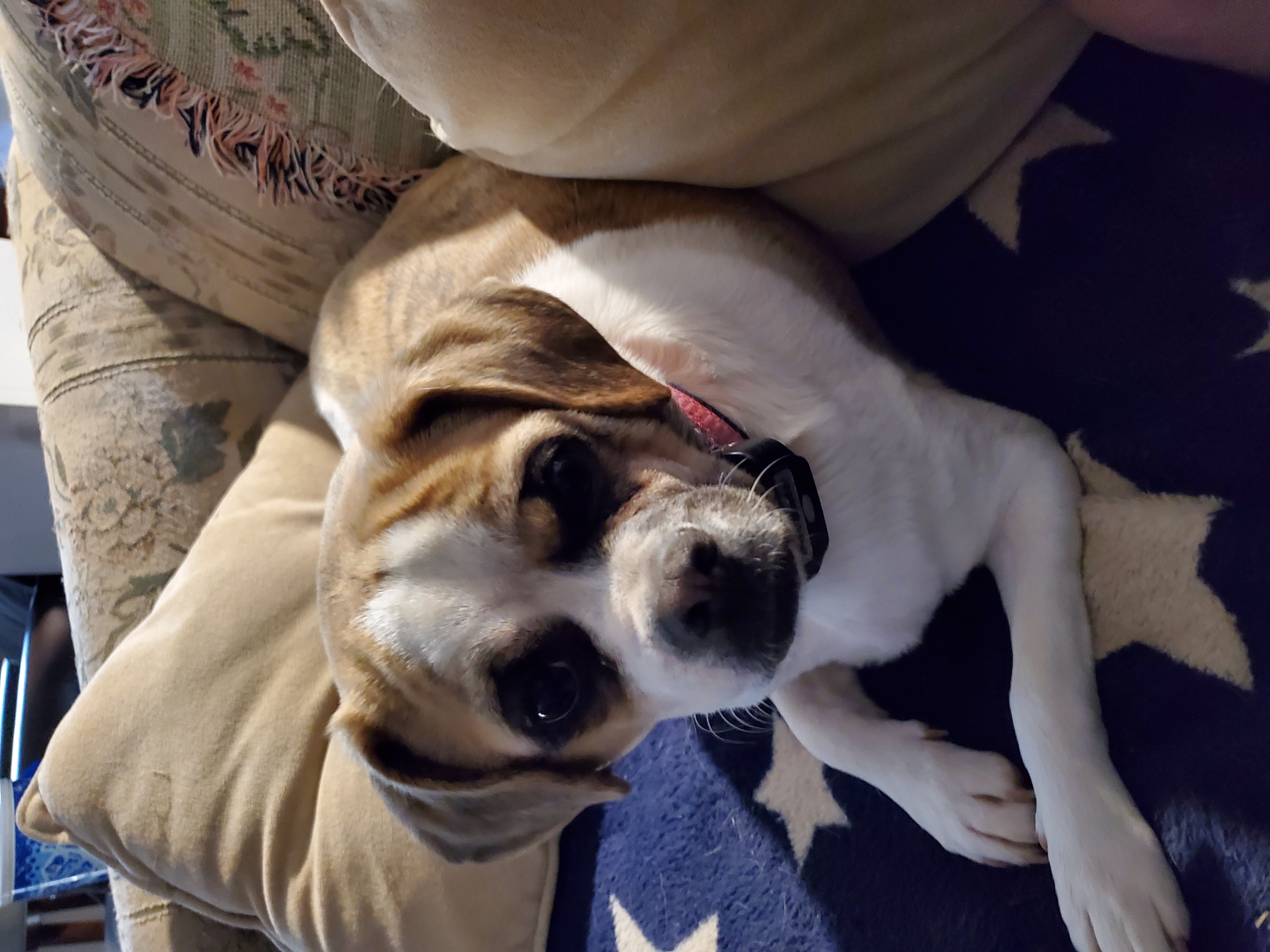 Skye