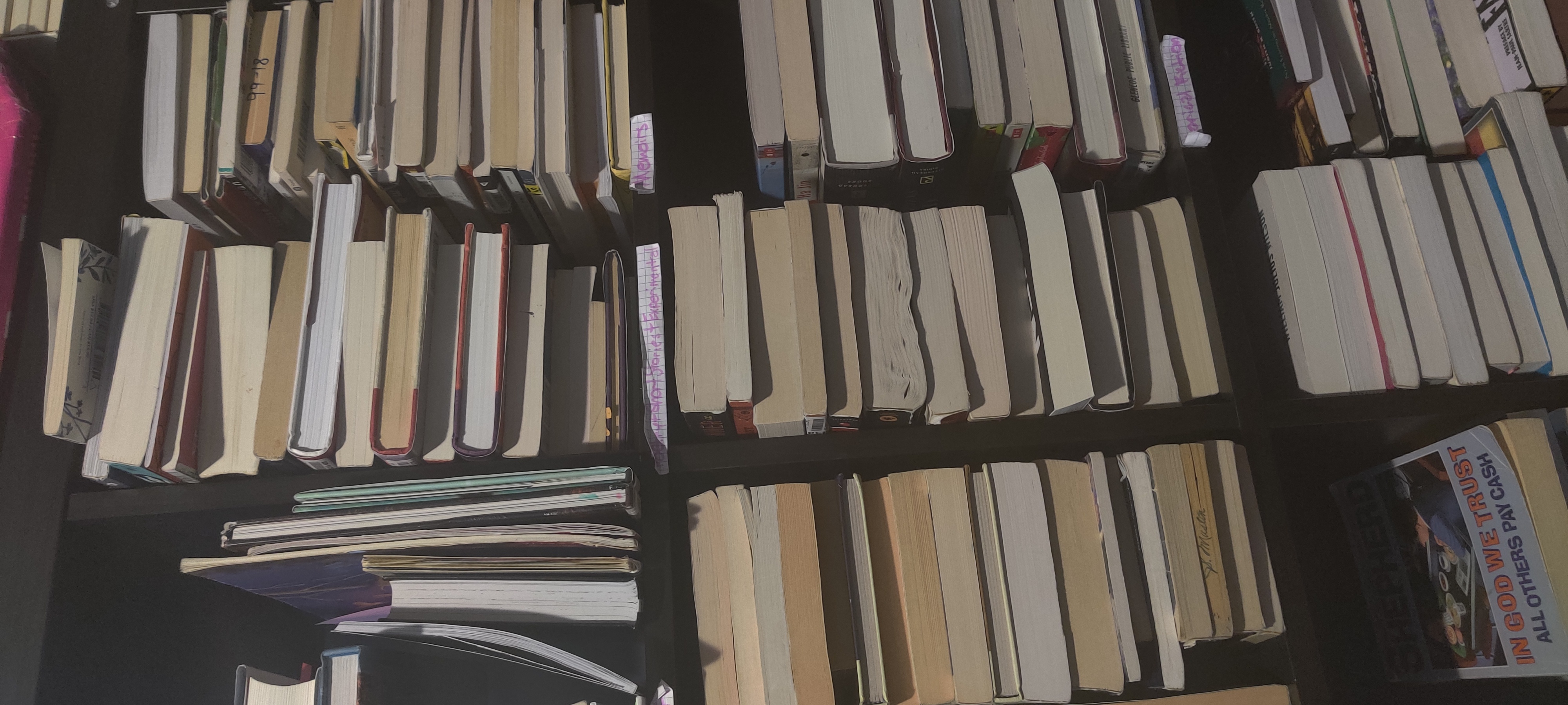 Solace in Books