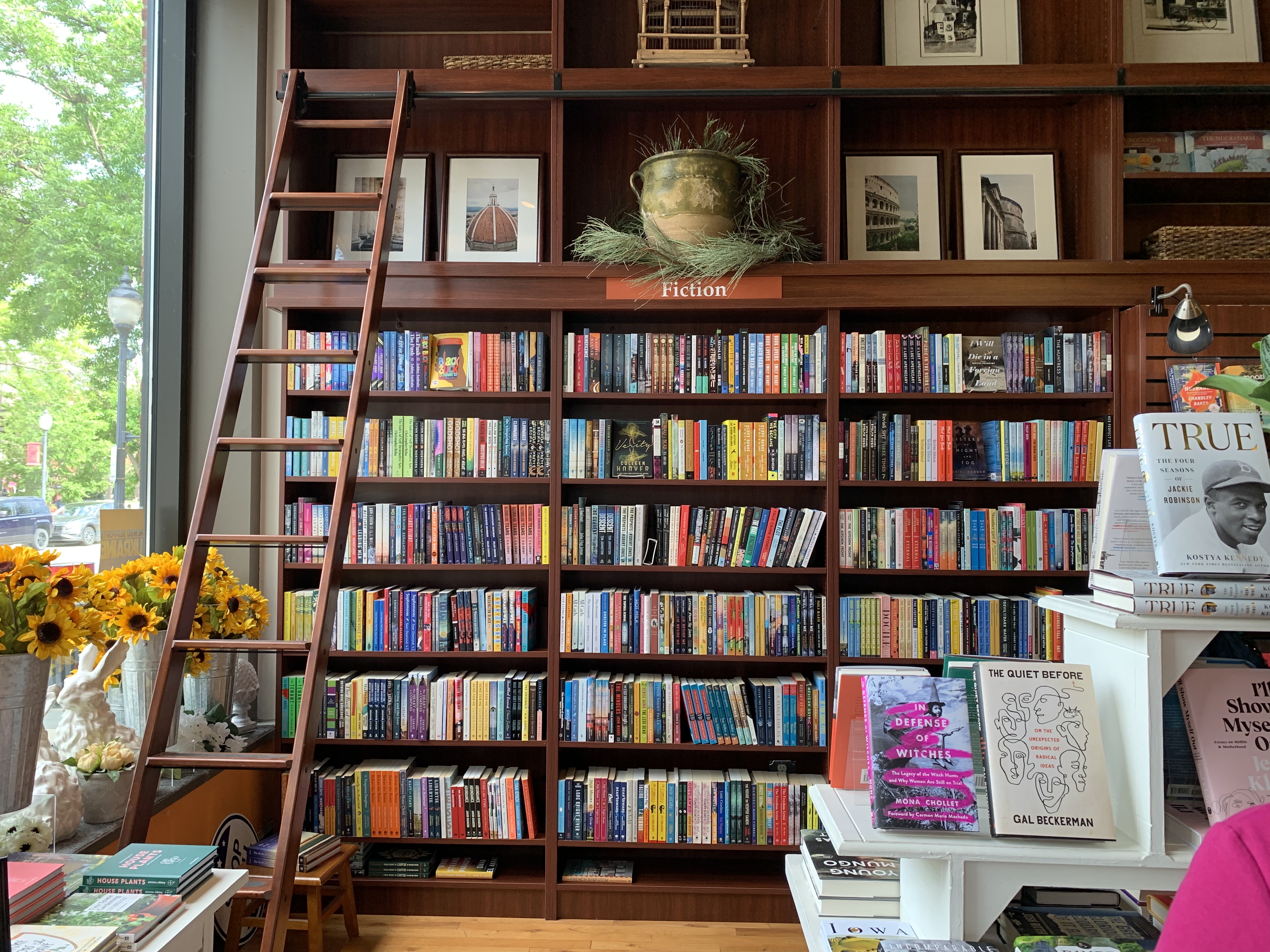 bookbug