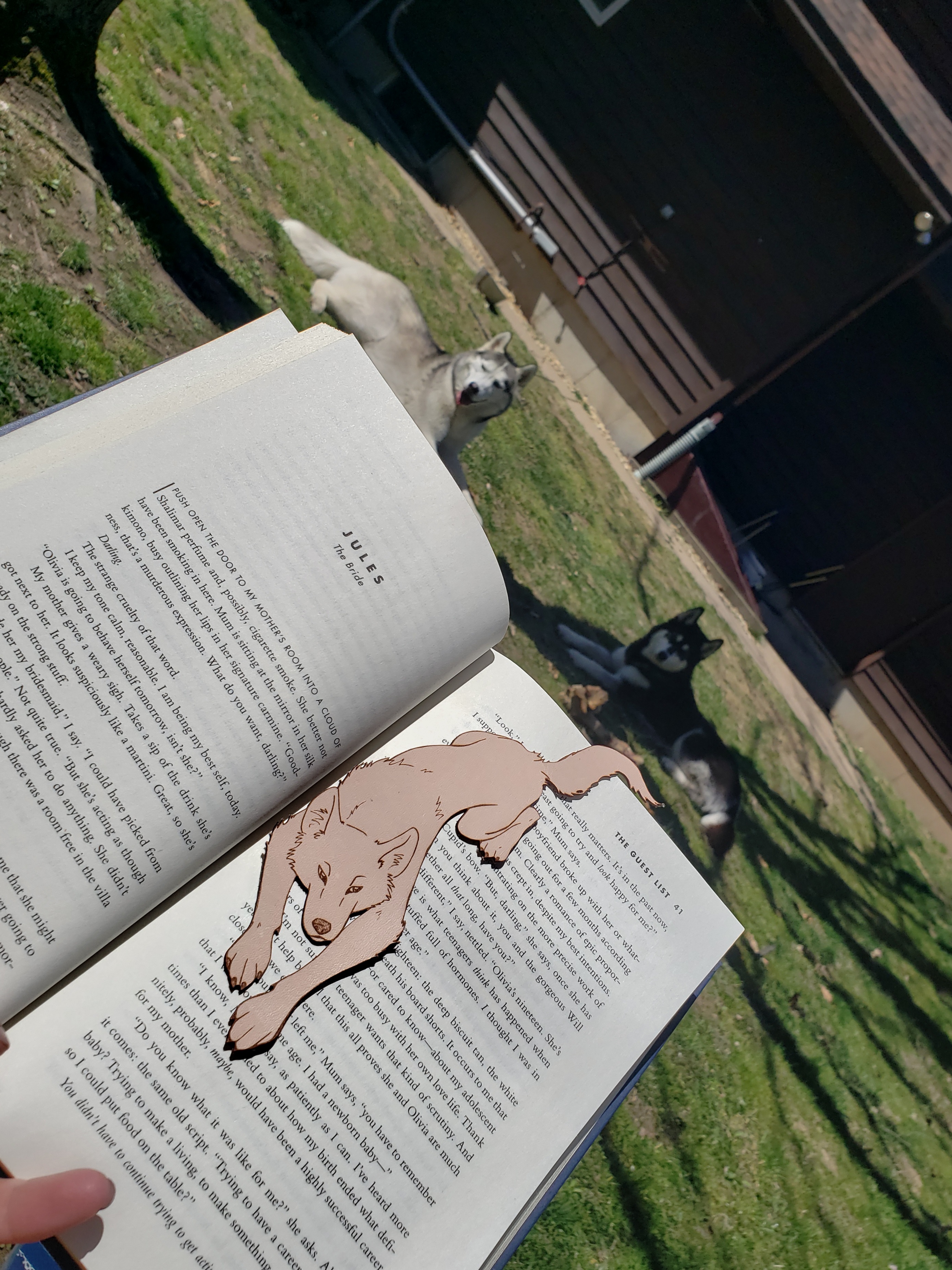 Huskyreads