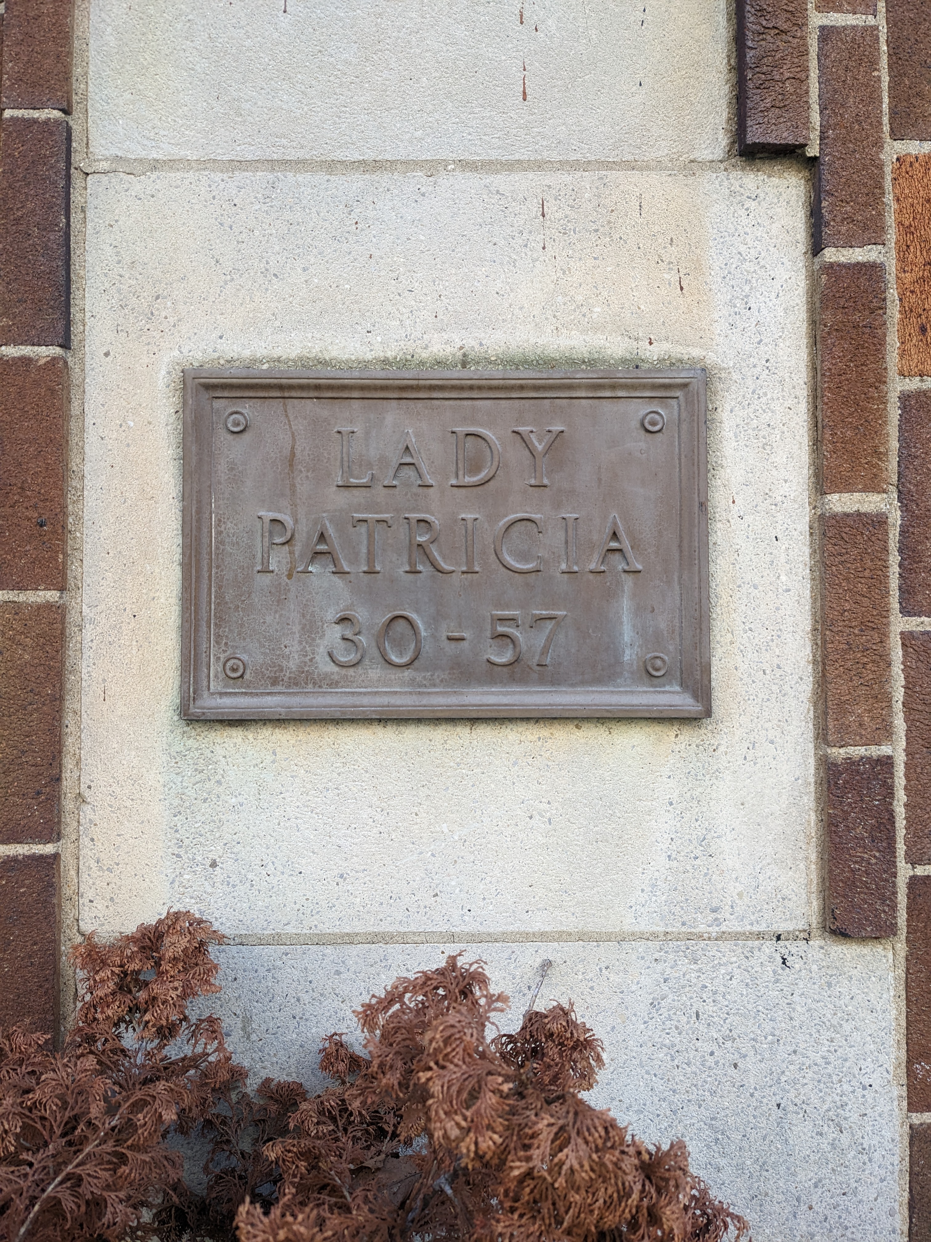 Lady Pat Books