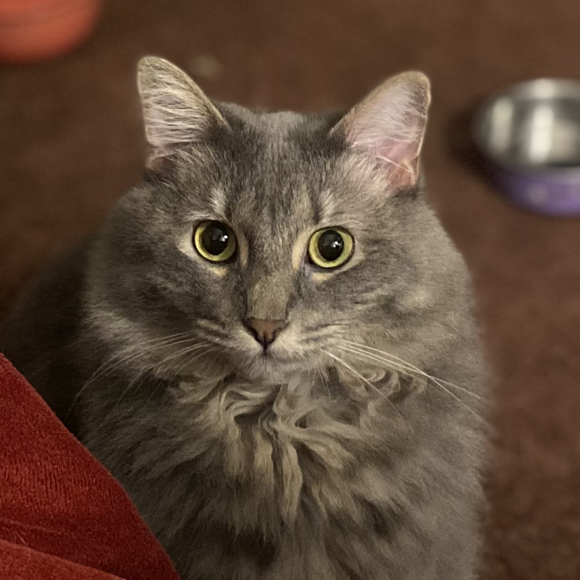 Emily