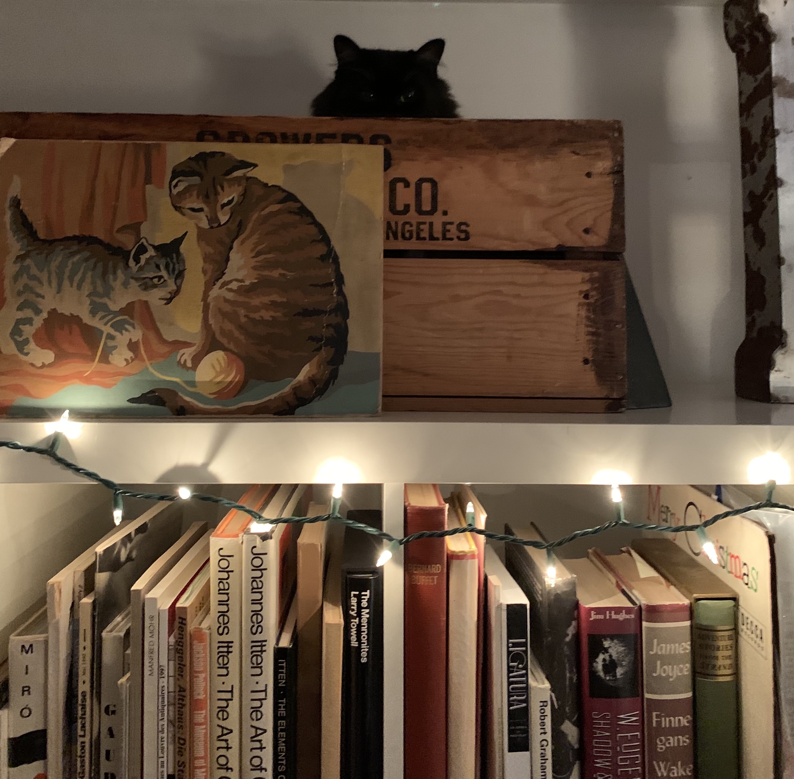 Book Hunter