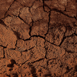 Cracked red clay soil