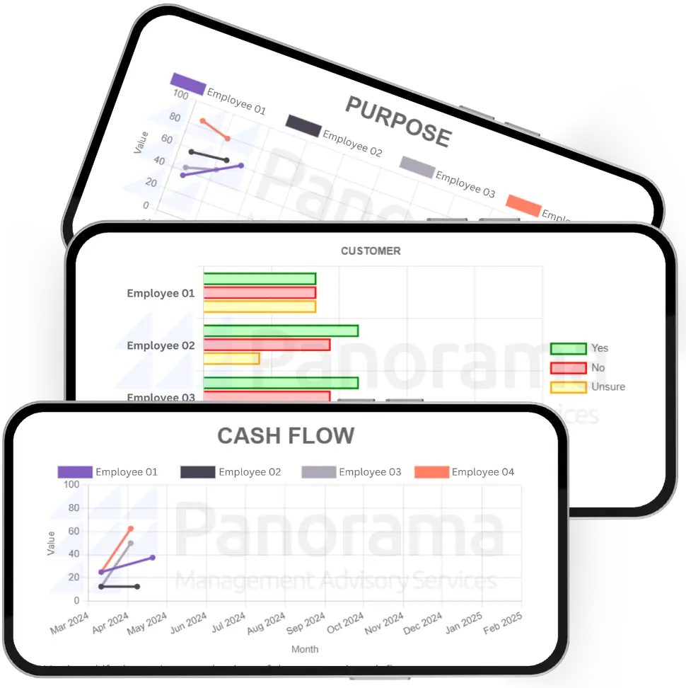 About the Panorama Assessment Tool