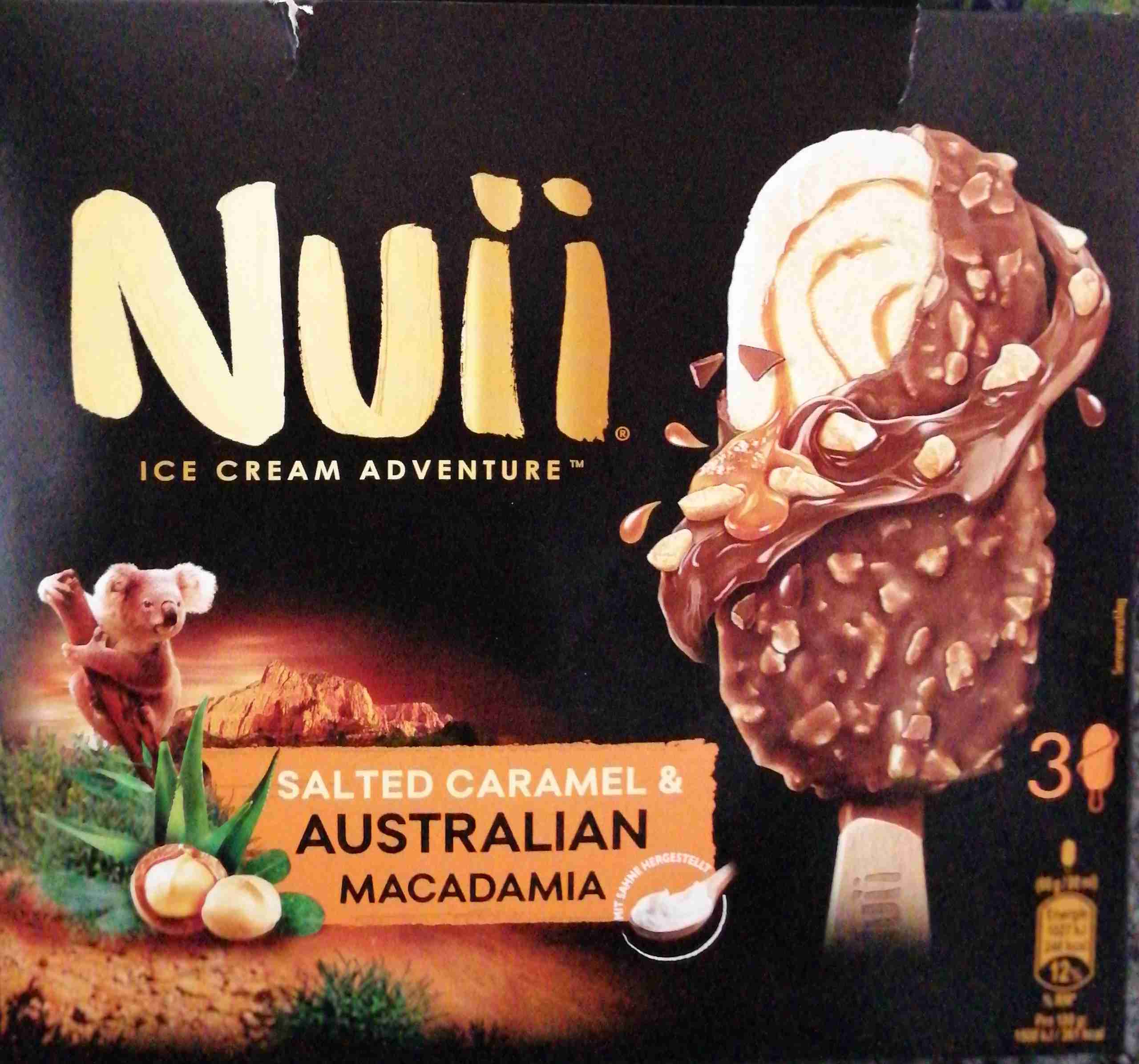 Eis Salted Caramel & Australian Macadamia