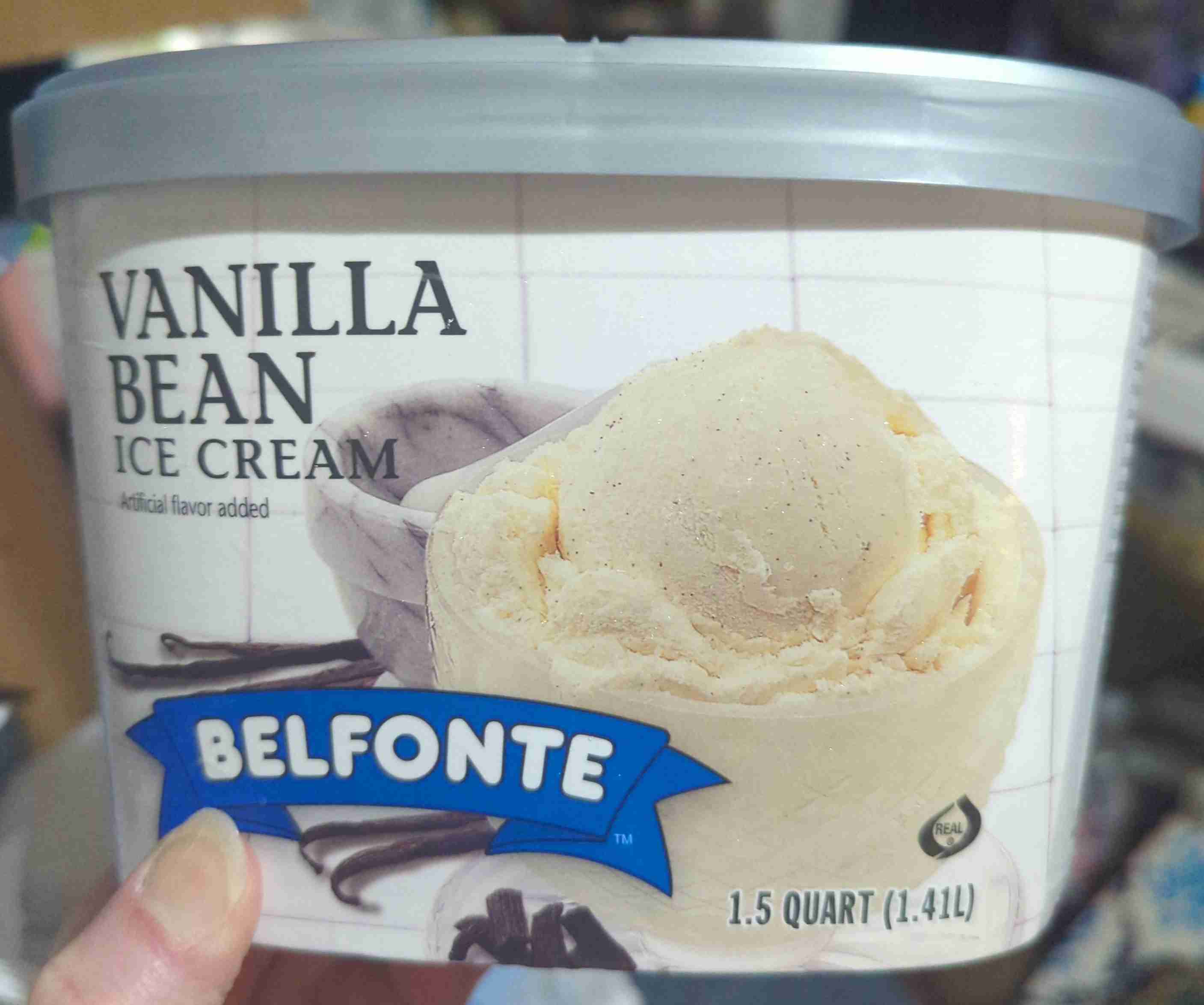 Vanilla Bean Ice Cream 