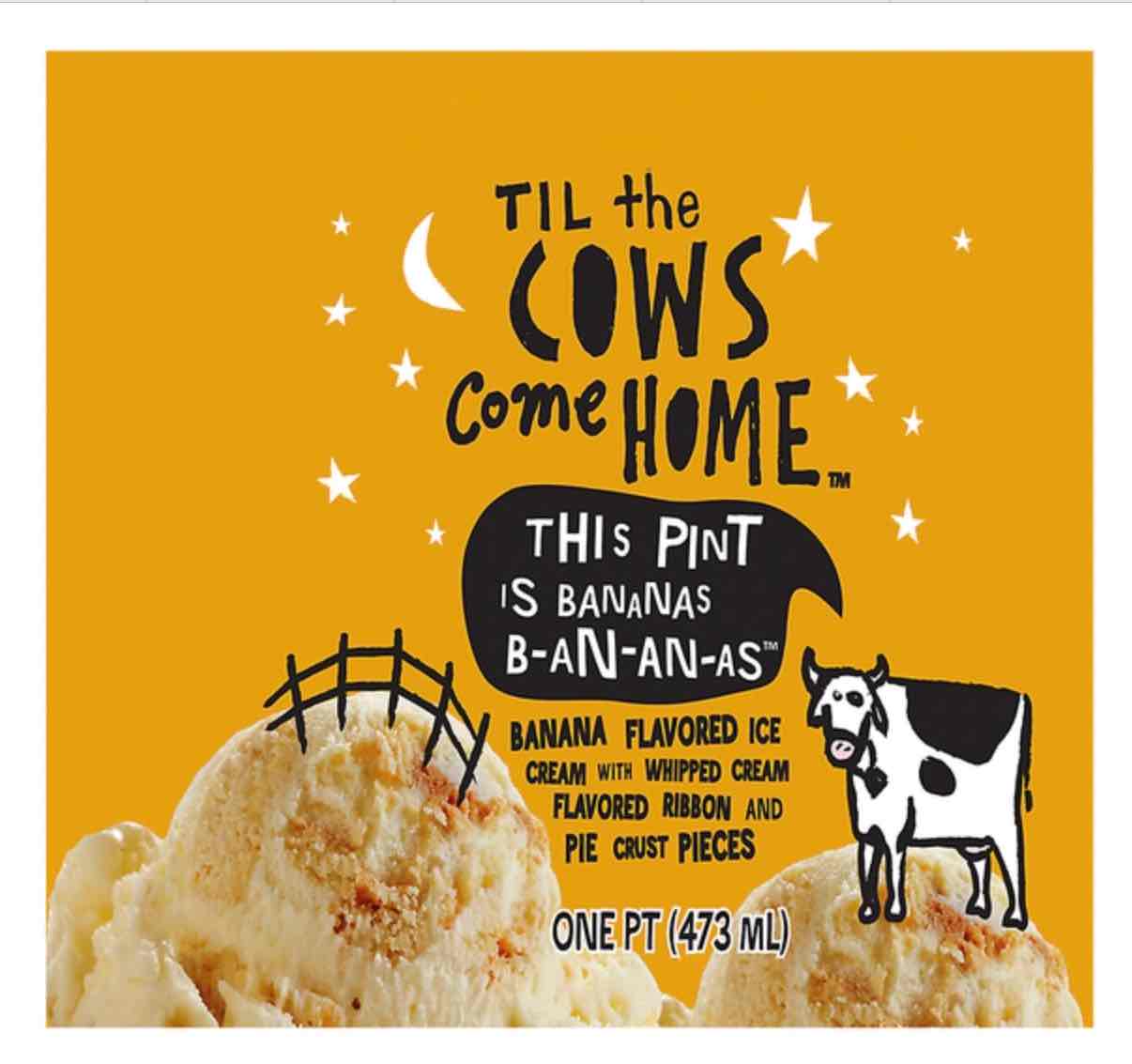 This Pint is Bananas B-an-an-as Ice Cream 