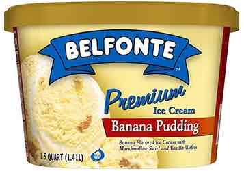 Banana Pudding Premium Ice Cream