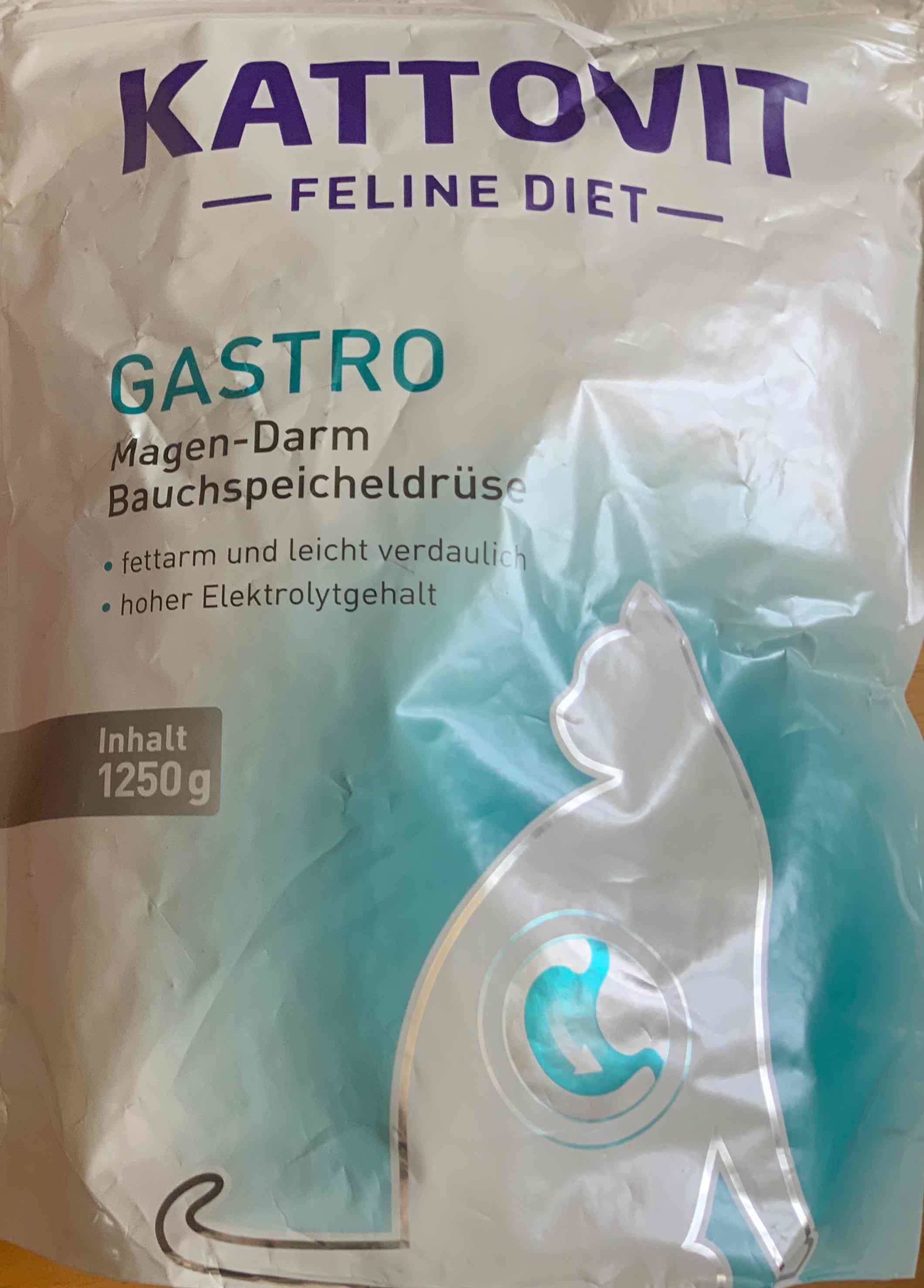 Gastro Magen-Darm Bauchspeicheldrüse