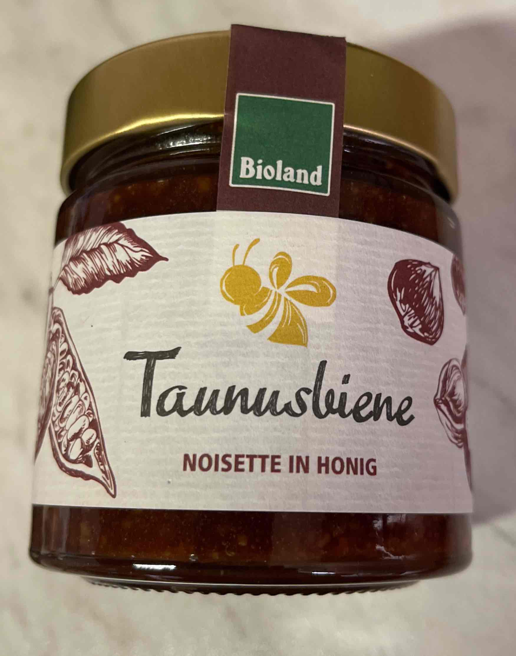 Noisette in Honig