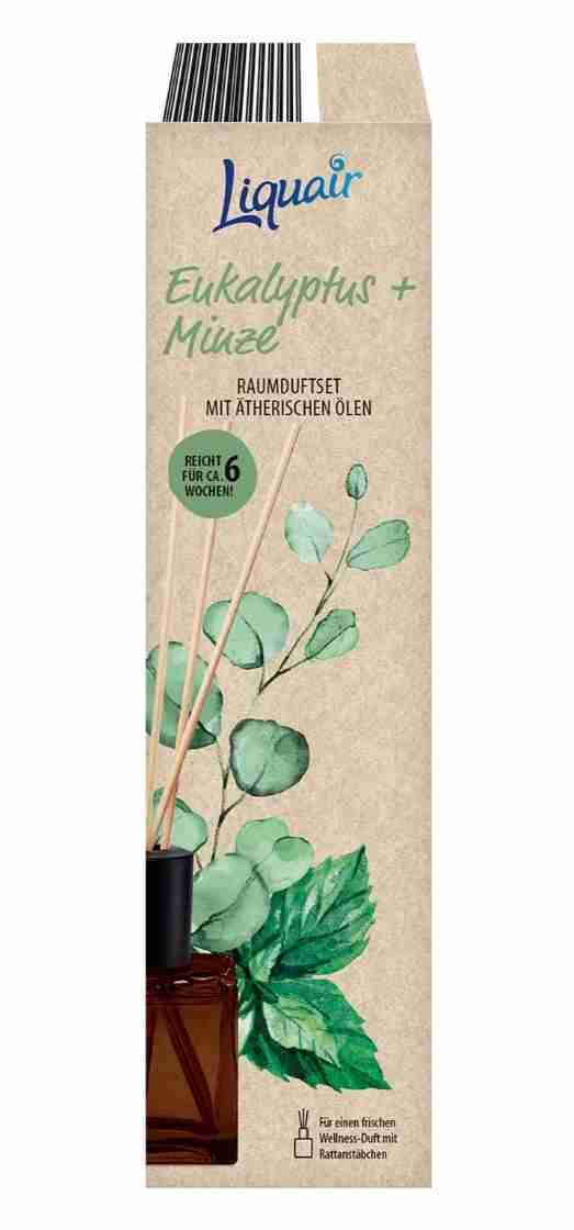 Eukalyptus + Minze Raumduftset mit ätherischen Ölen