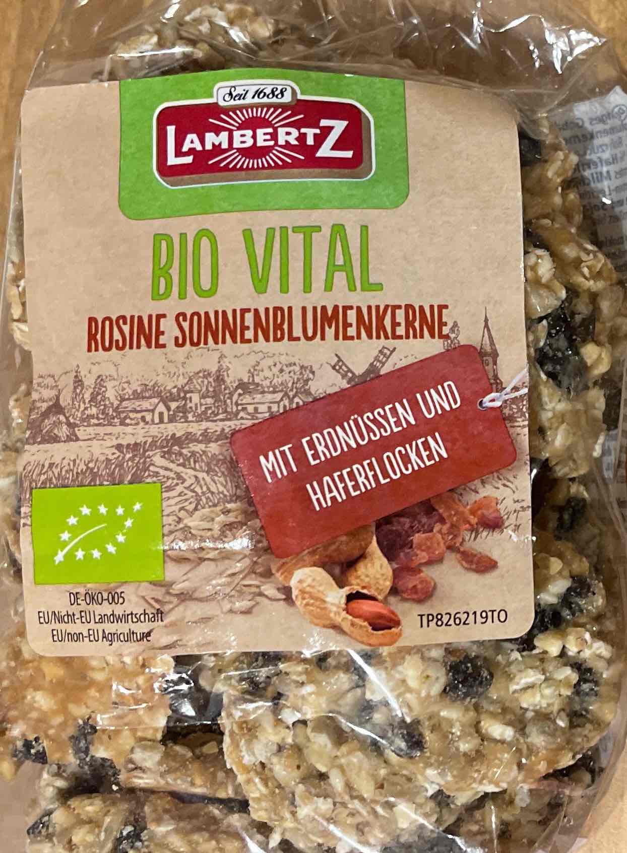 BIO VITAL Rosine Sonnenblumenkerne Gebäck (mit Erdnüssen u. Haferflocken) 