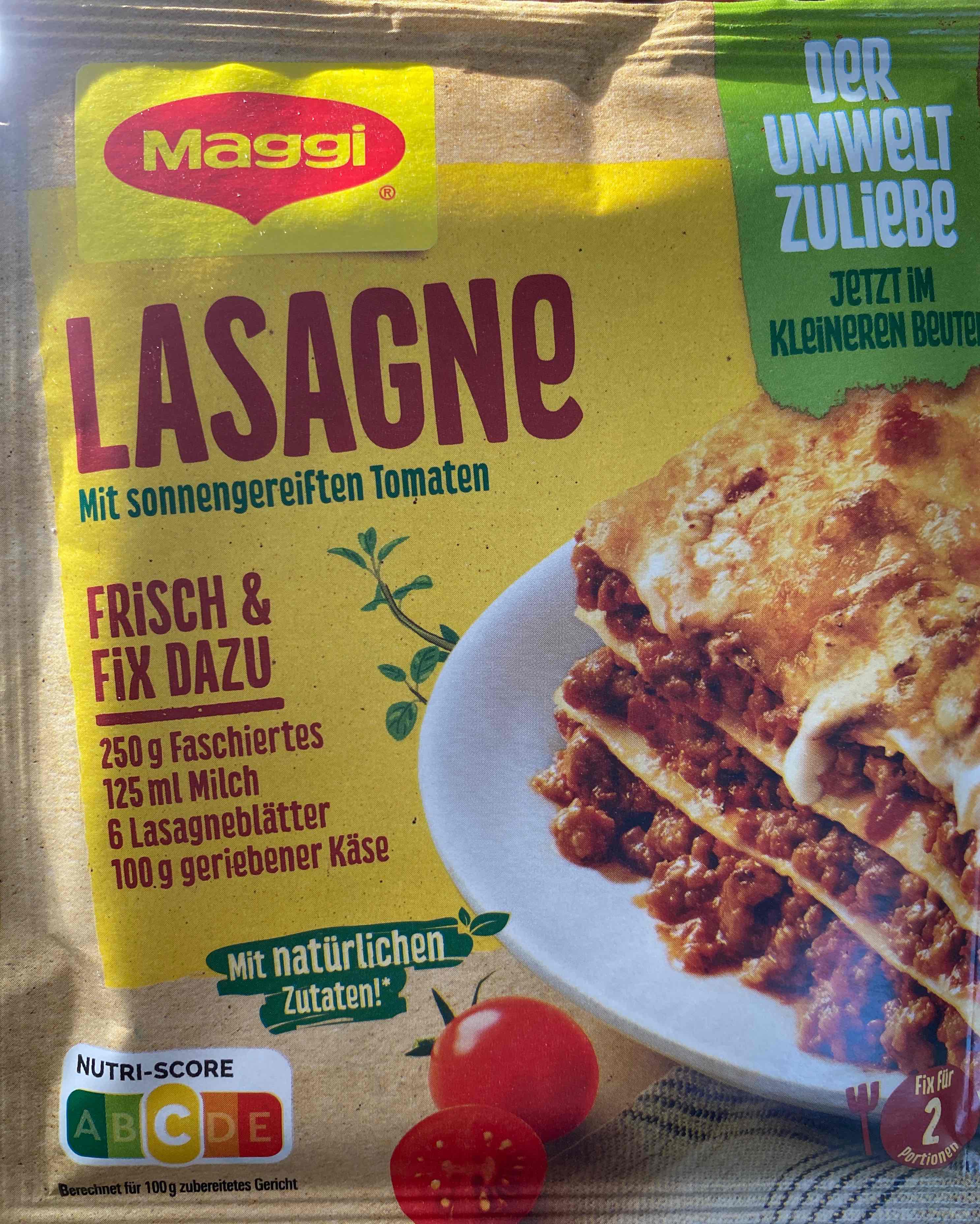 Lasagne Basis