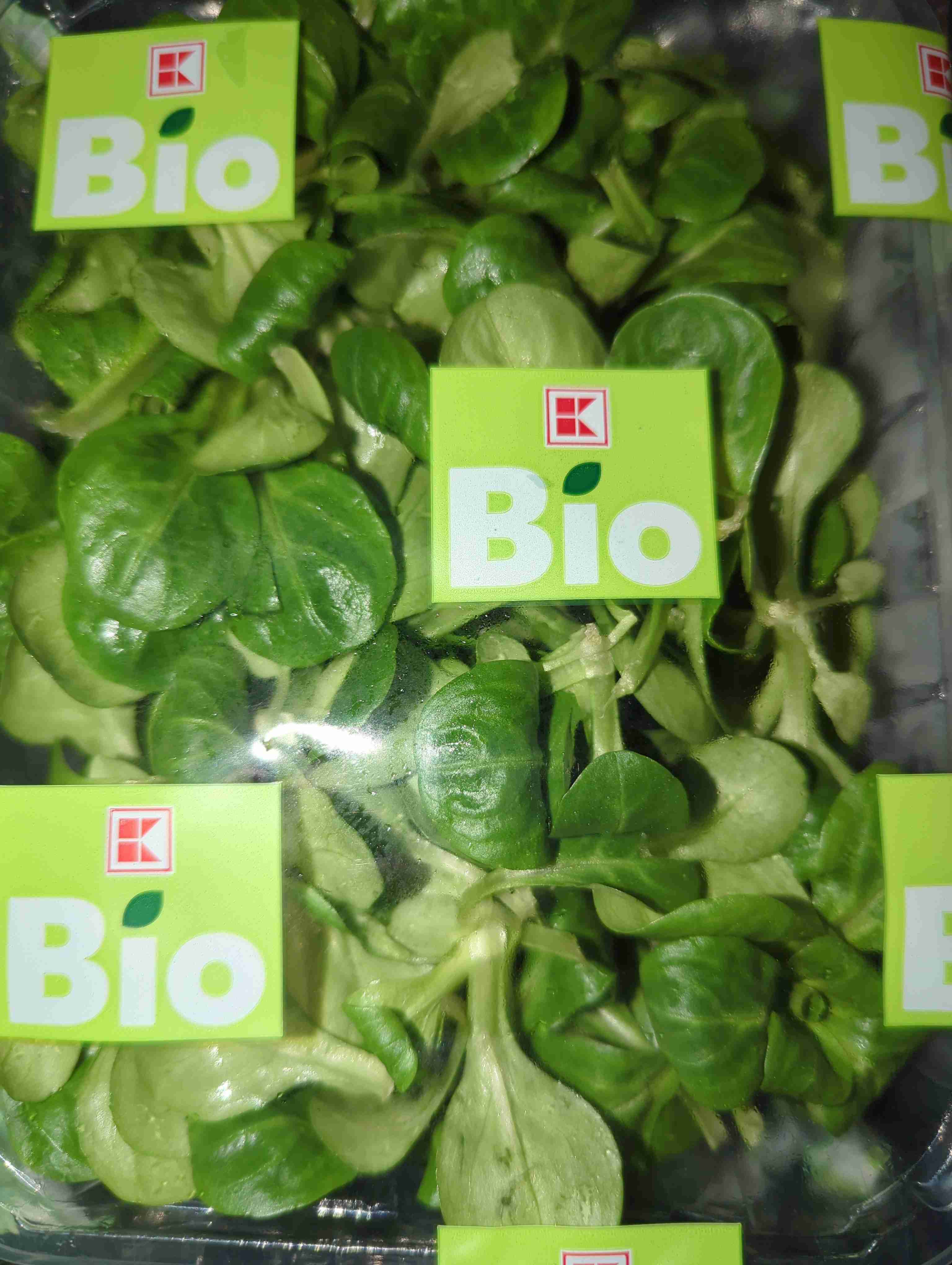 Feldsalat, bio