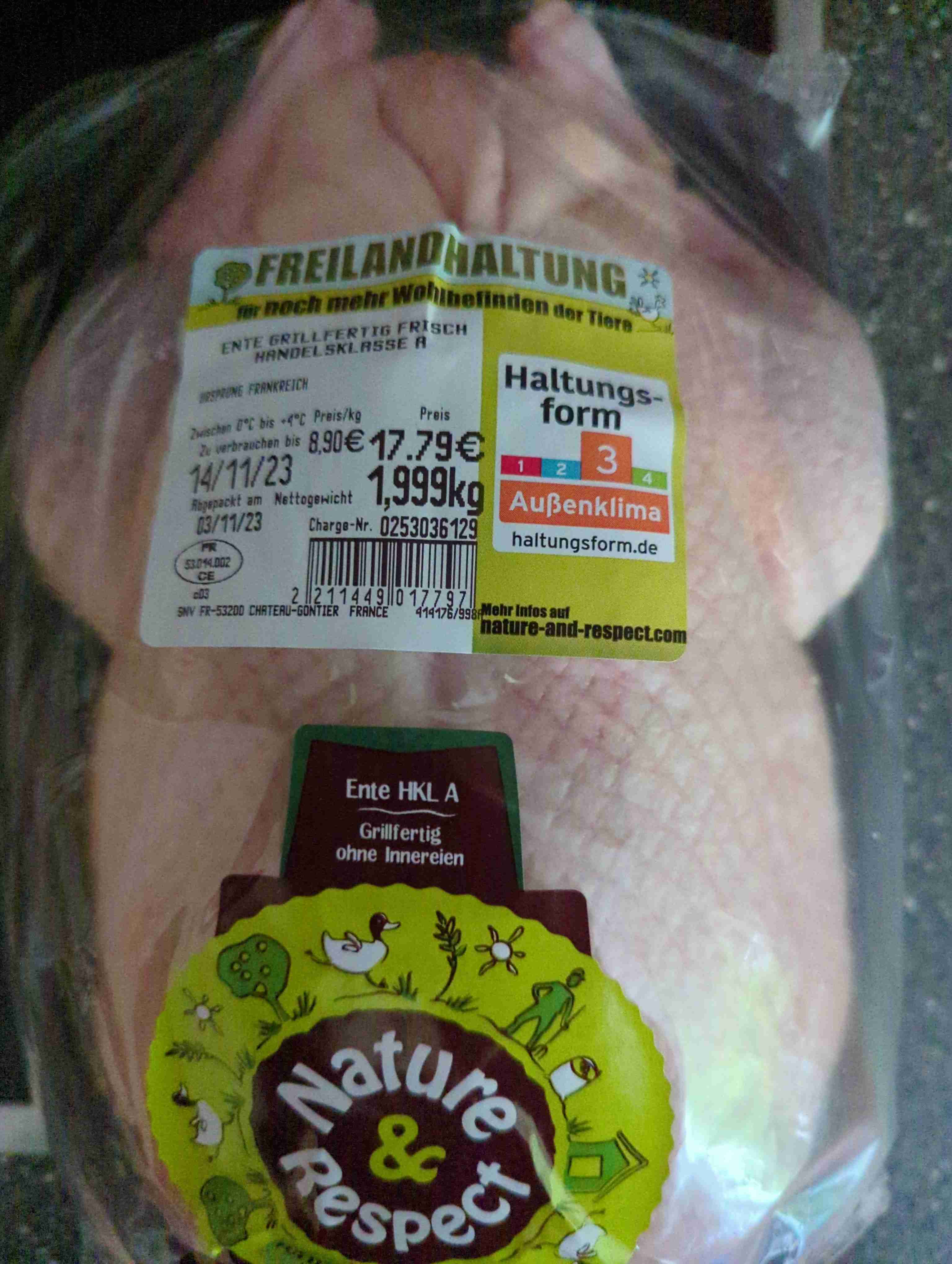 Ente aus Freilandhaltung 