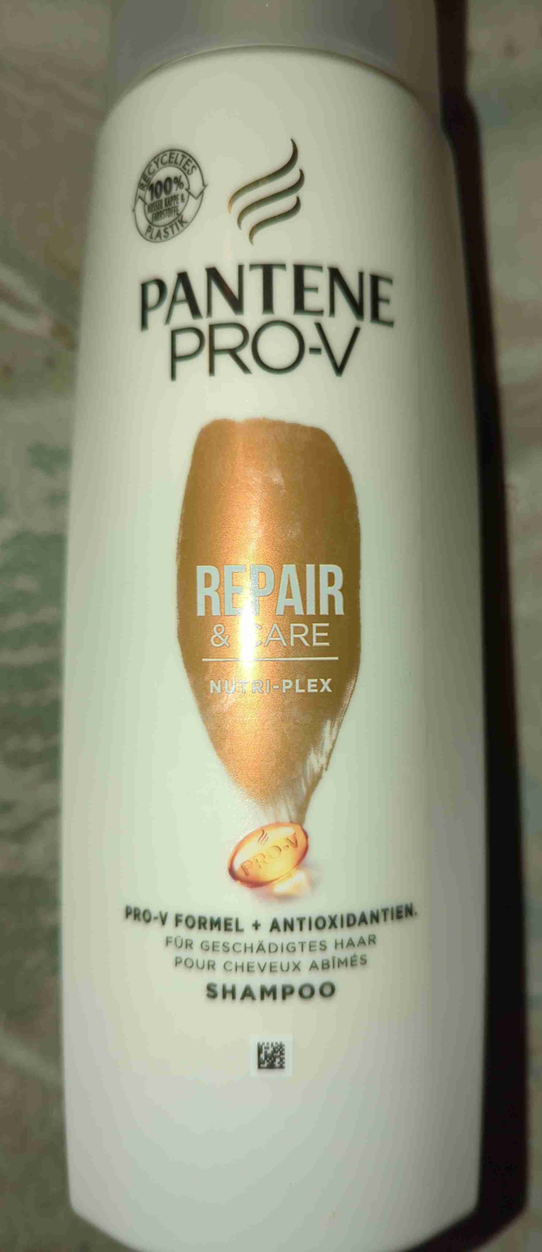 Shampoo, Repair & Care