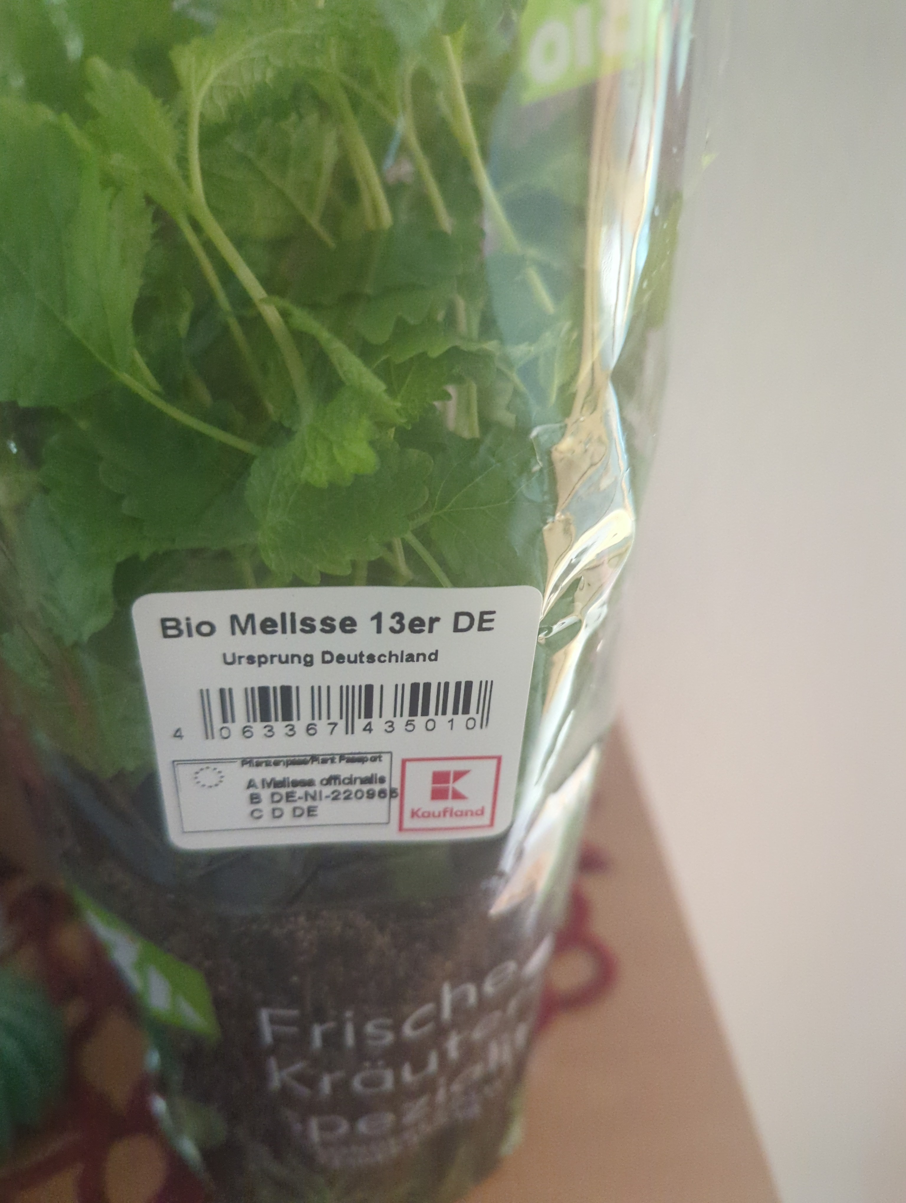 Kräutertopf Melisse, bio