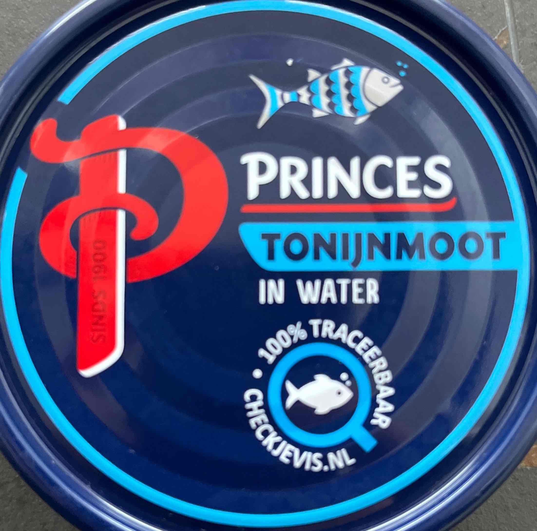 Tonijnmoot in water