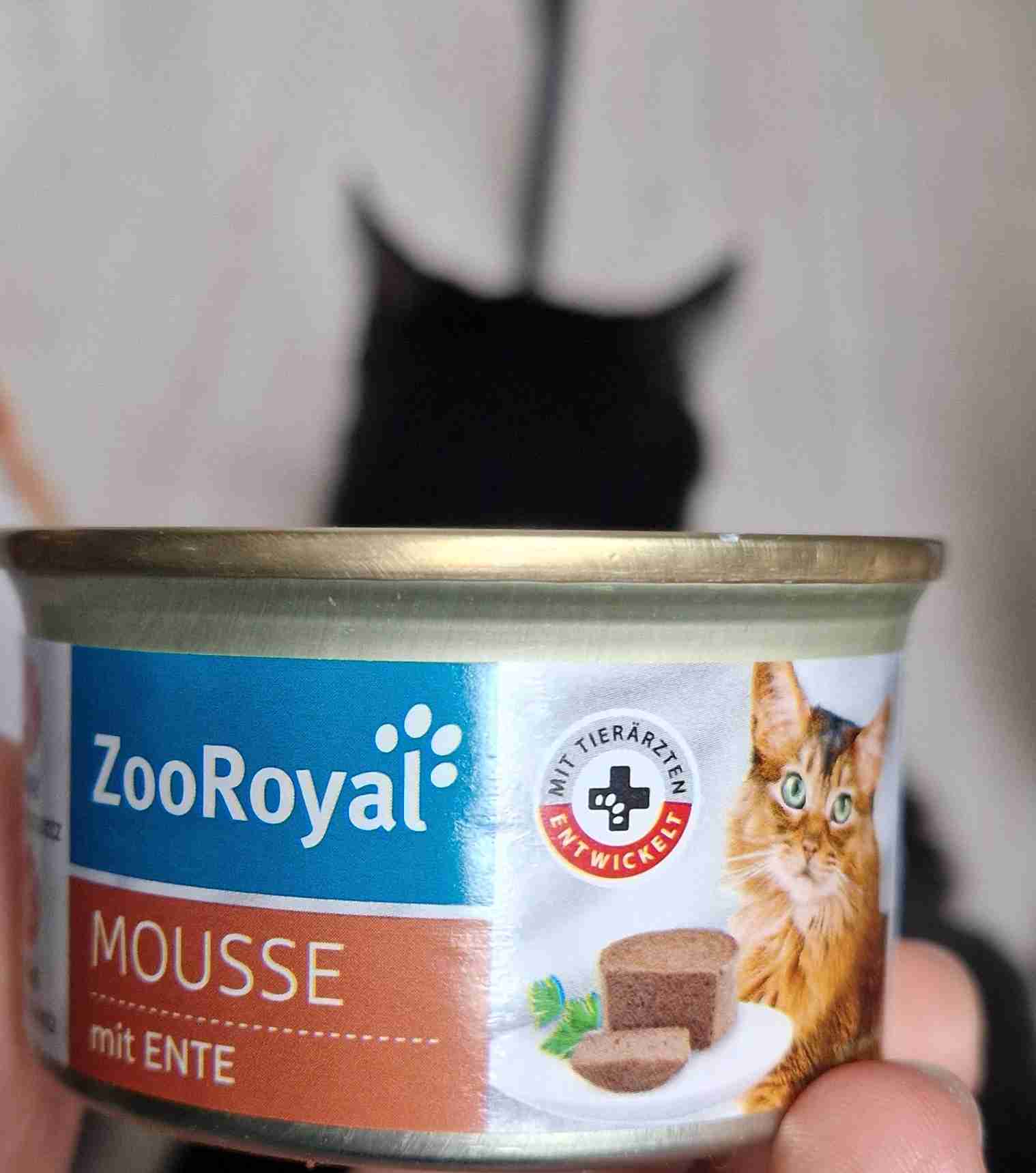 Mousse mit Ente