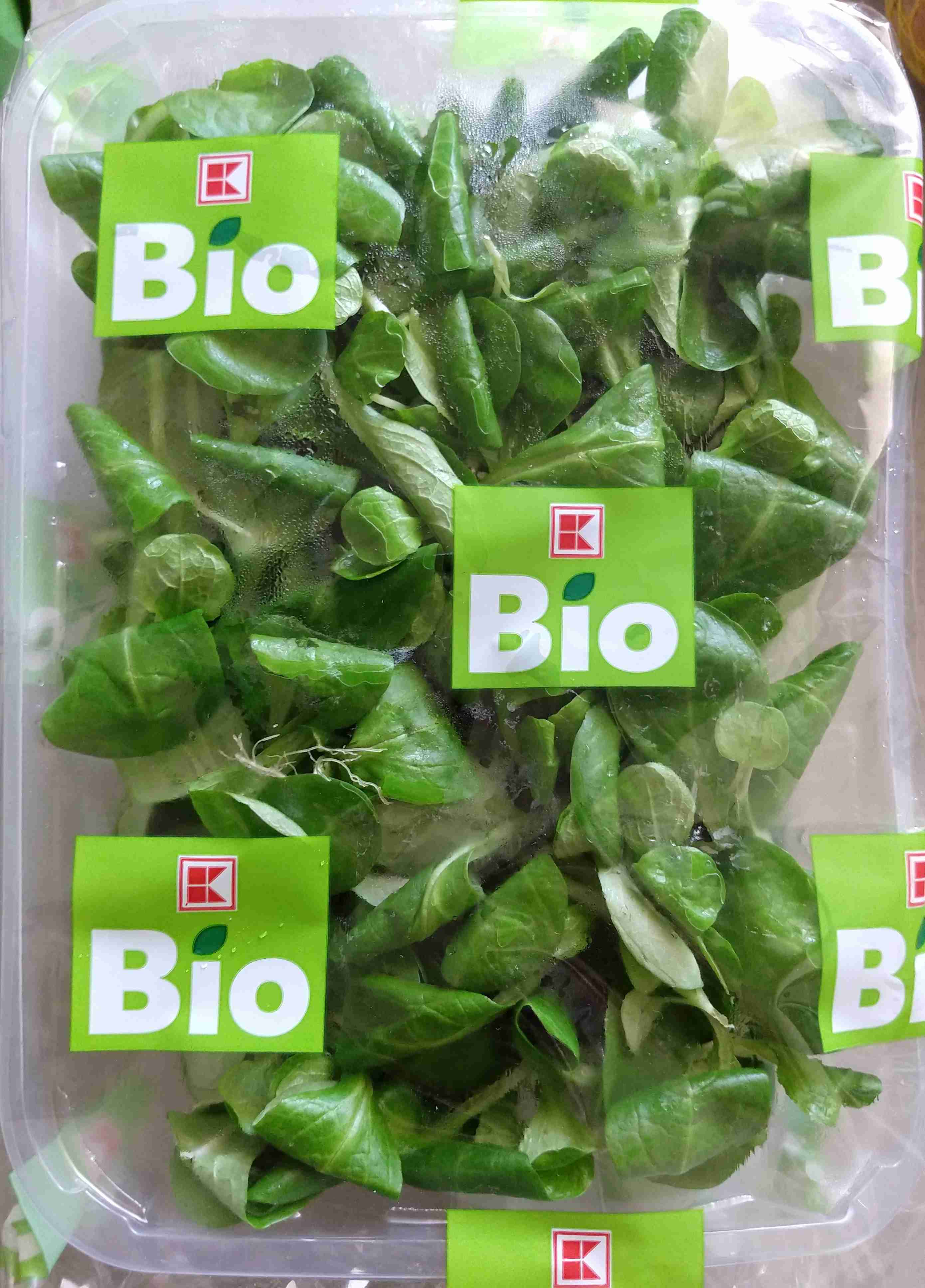Bio Feldsalat 